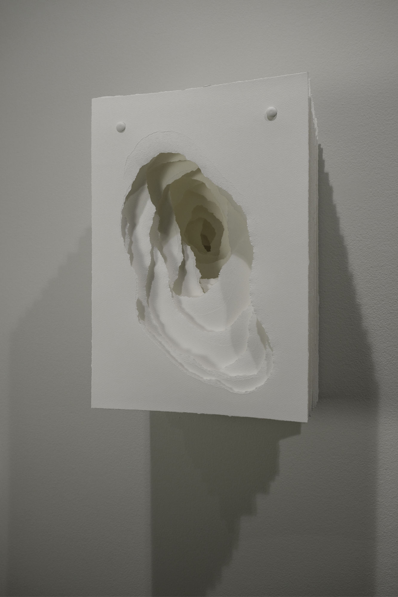 Angela Glajcar, 2015-024 Terforation, 2015