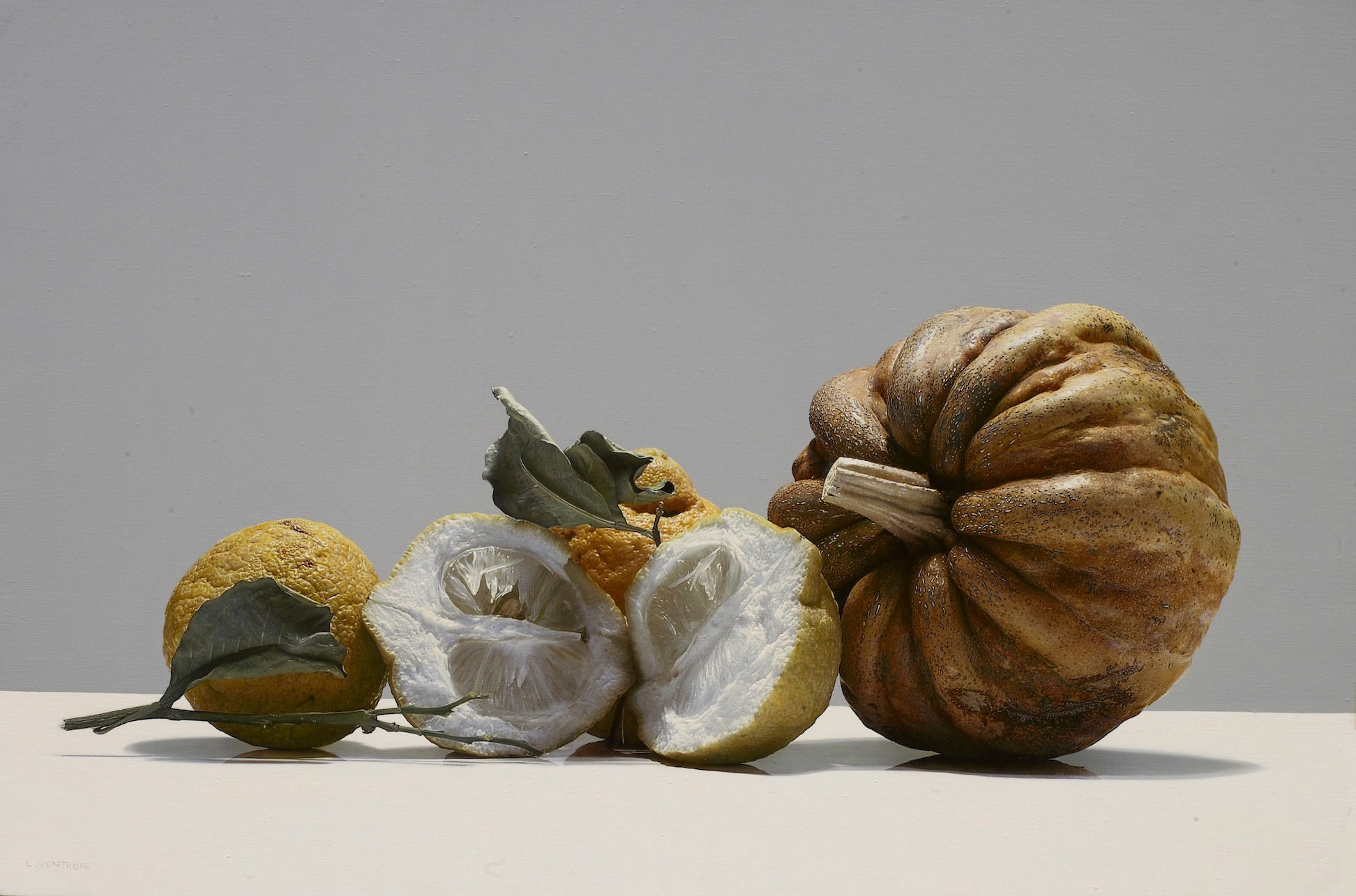 Luciano Ventrone, Forme nella luce, 2012