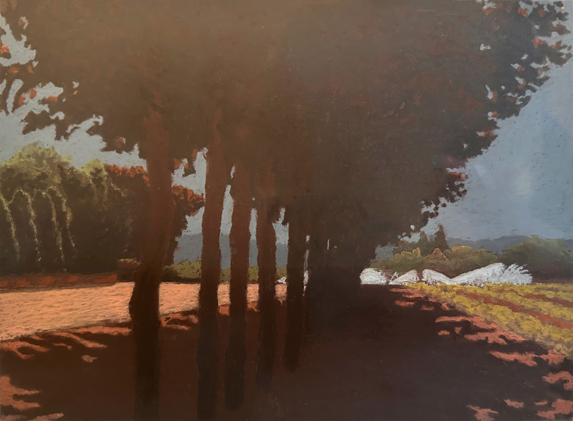 Barry Pelzner, 2003 - #20, 2003