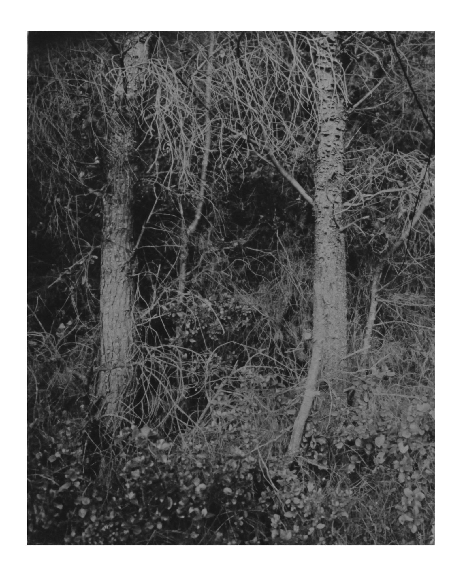 Gérard TRAQUANDI, Sans titre, 2017