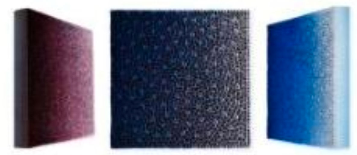 Zhuang Hong-Yi, The Garden of Stars, 2025