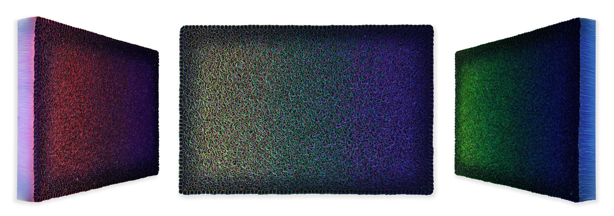 Zhuang Hong Yi, Midnight Bloom, 2024