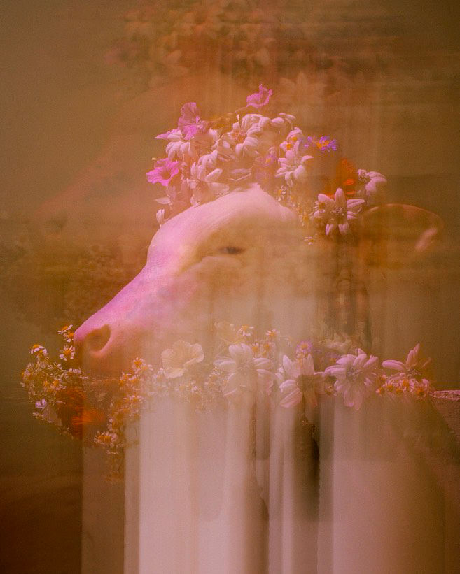 Roberto Greco, Les chiens et les Italiens, dehors! (Dogs and Italians, keep out!) #3, 2020