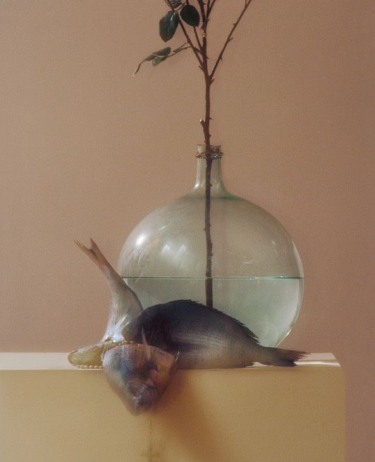 Roberto Greco, Madre lingua (Mother tongue) #2, 2020