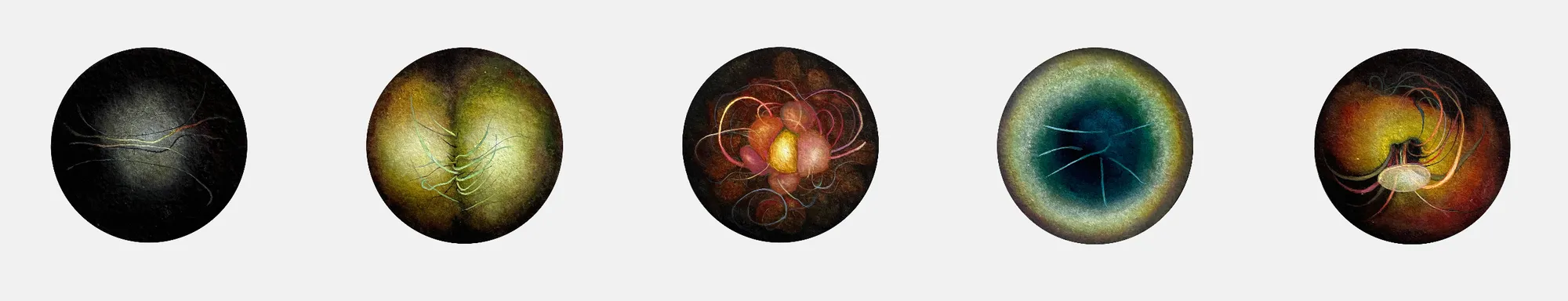 Rupaneethan Pakkiyarajah, Roots of echoes of self II, 2024