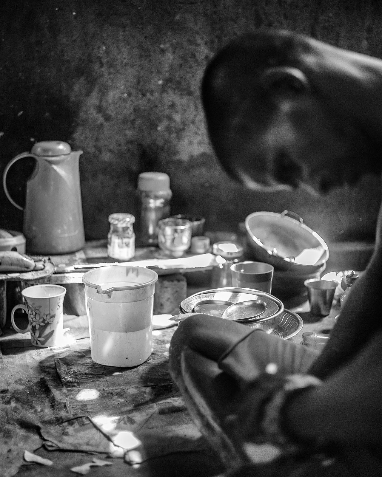 Tavish Gunasena, Shiva devotee and caretaker VII, 2022