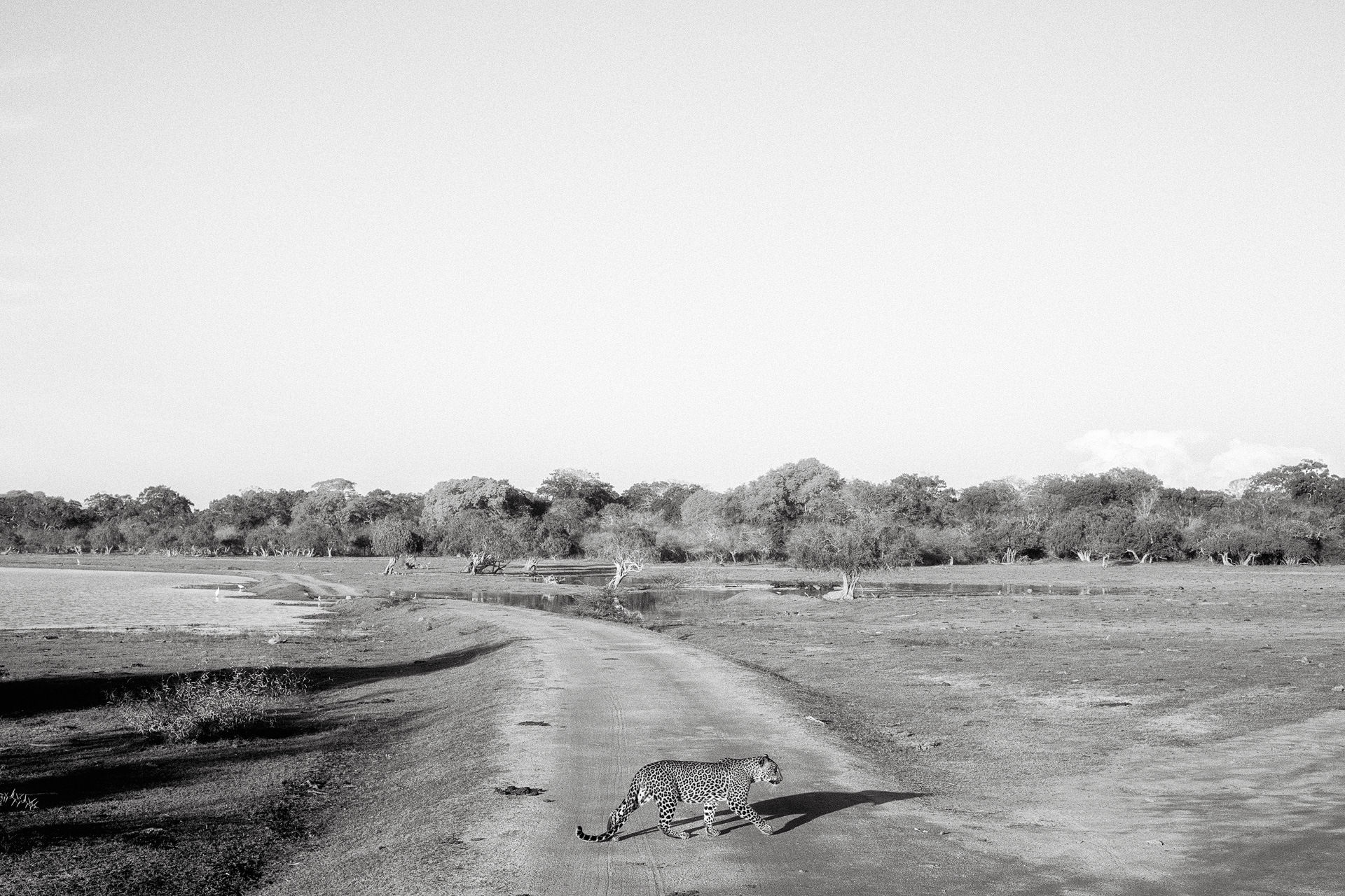 Tavish Gunasena, KLM35 - Alpha, 2023