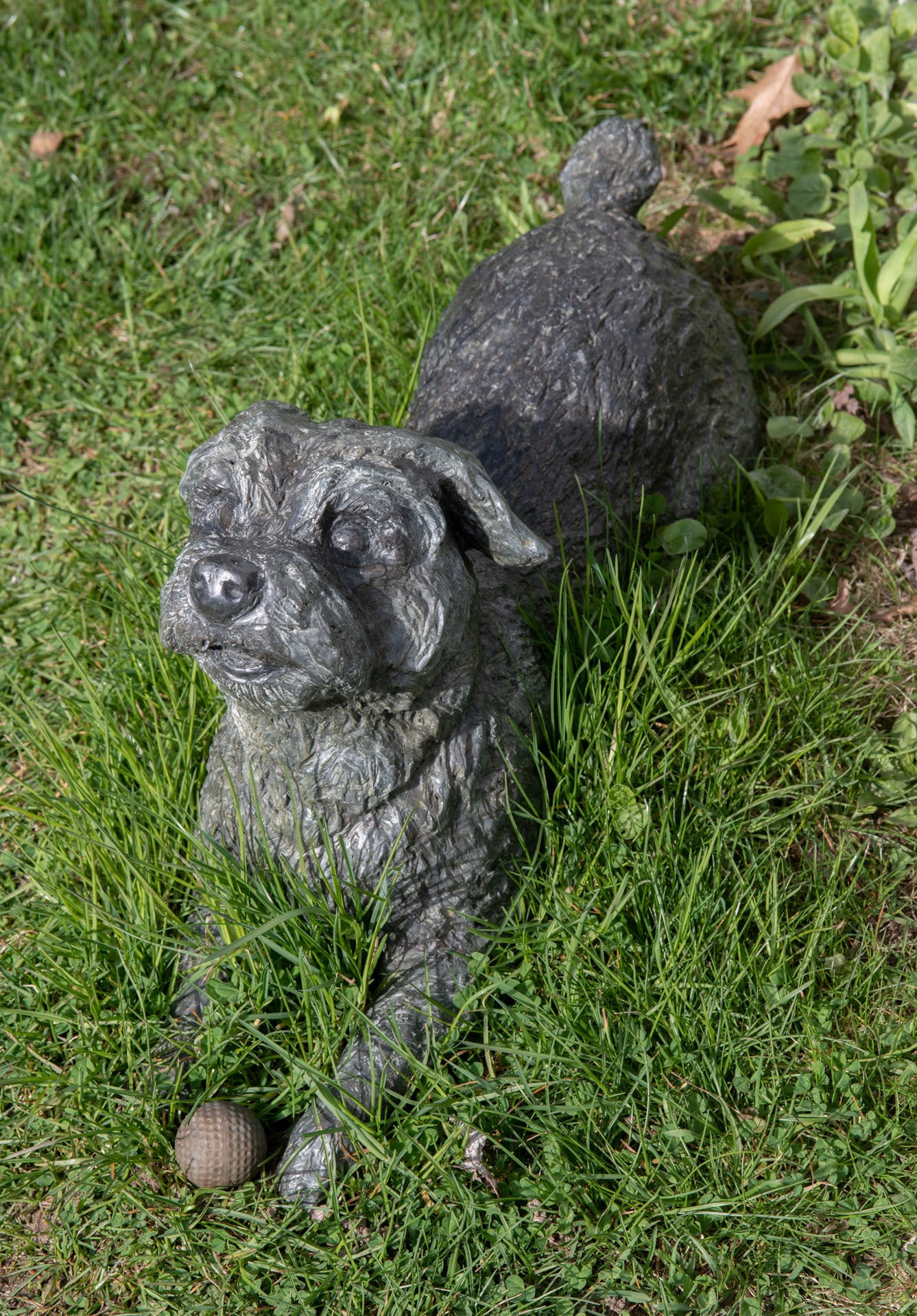 Rebekah Raye, Play Pup, 2024