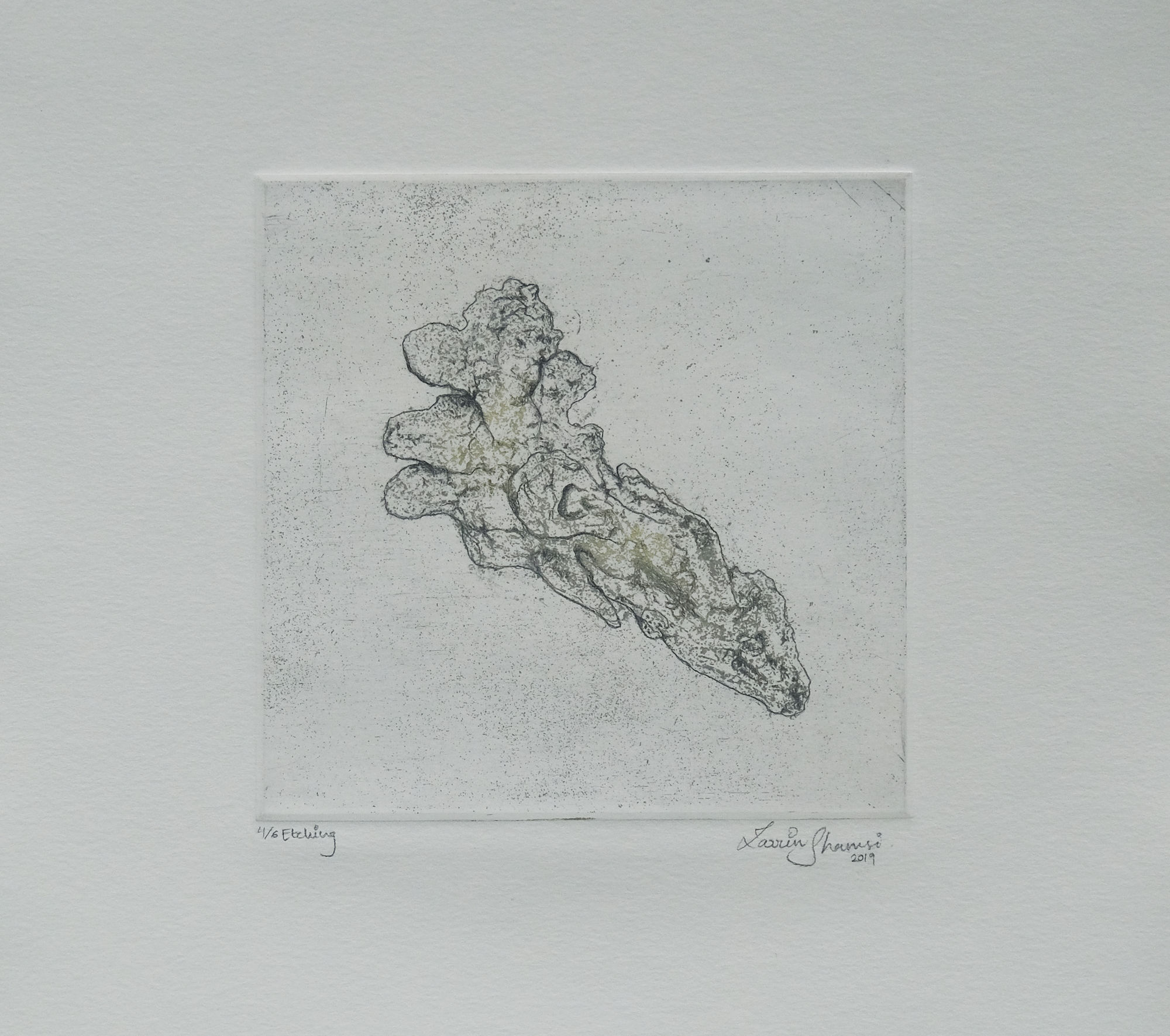 Zarrin-Fatima Shamsi, Dead Coral 4, 2019