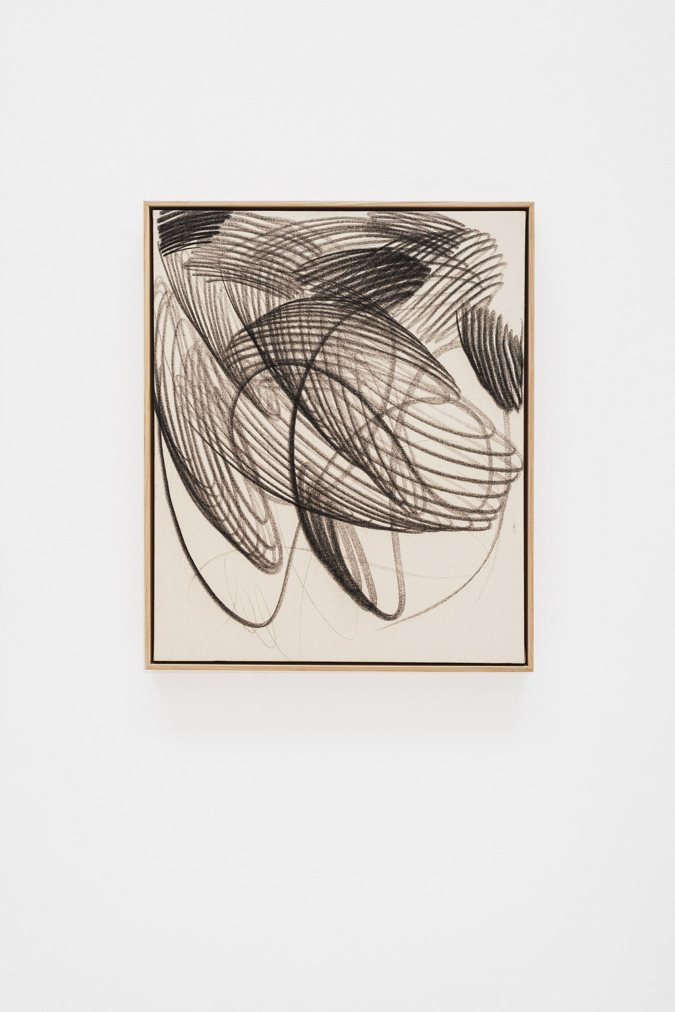 Aythamy Armas, C04/24, 2024