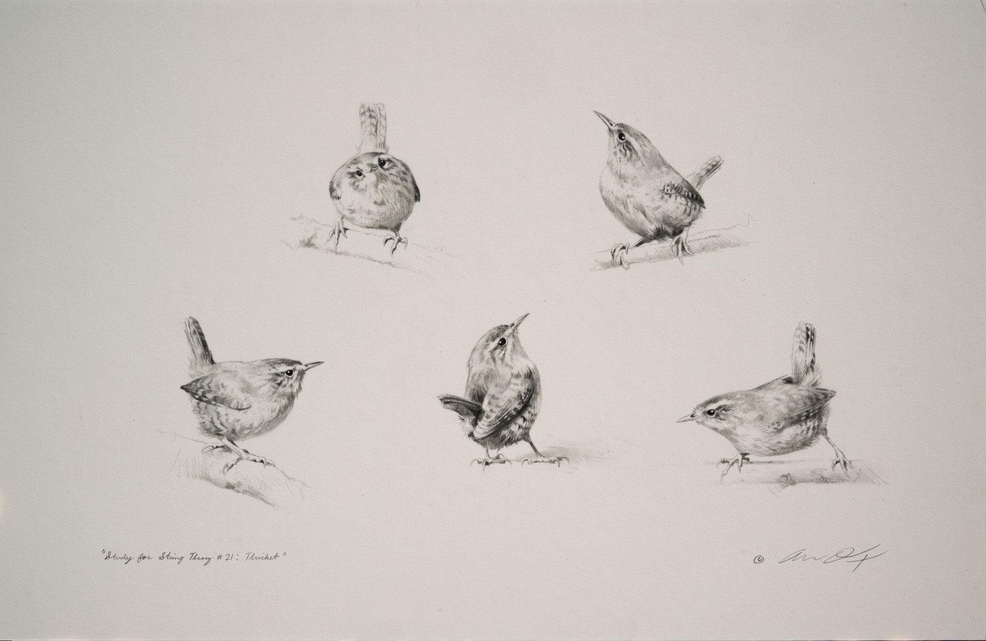 Andrew Denman, Study for 'String Theory #21: Thicket'