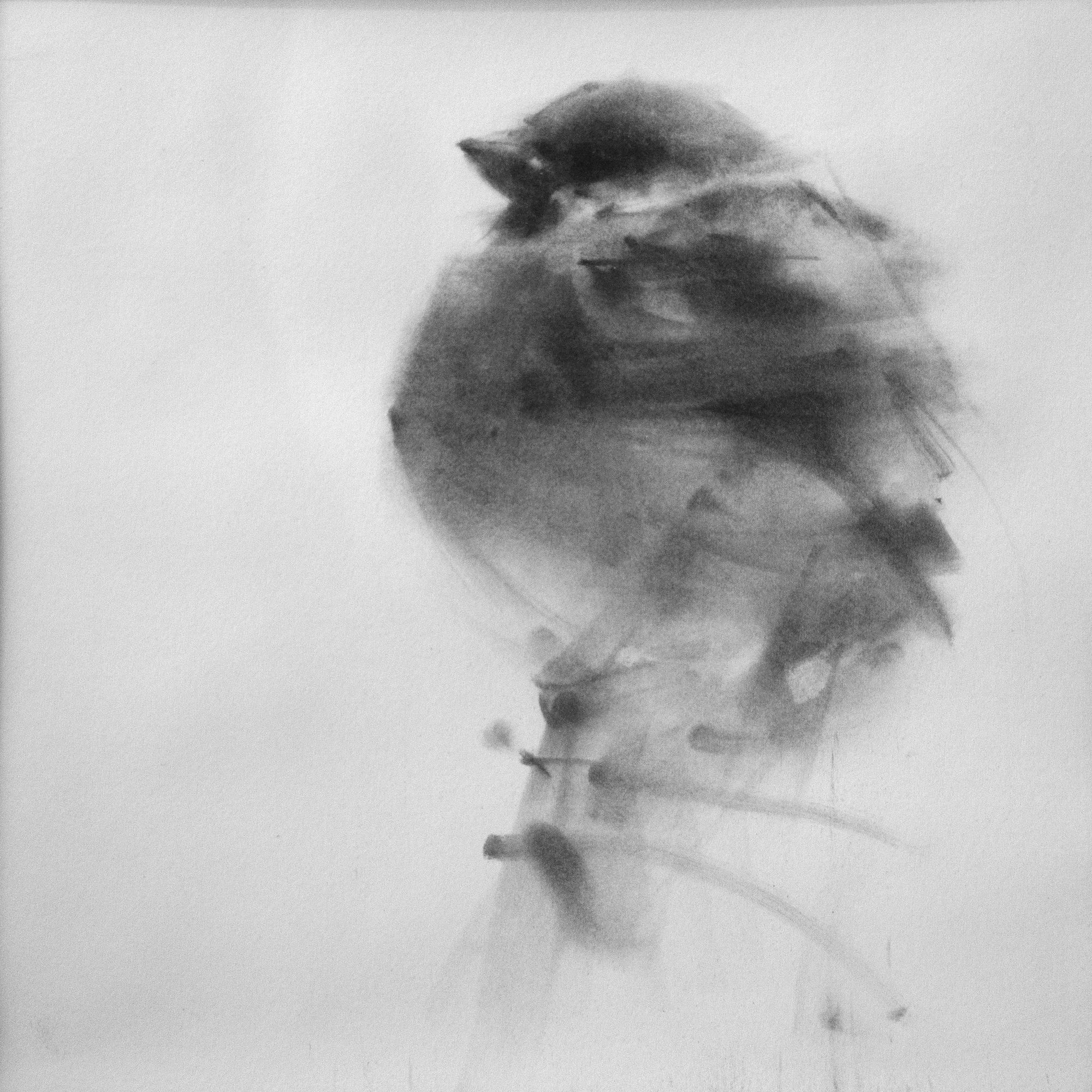 Tianyin Wang, Sparrow No. 18, 2021
