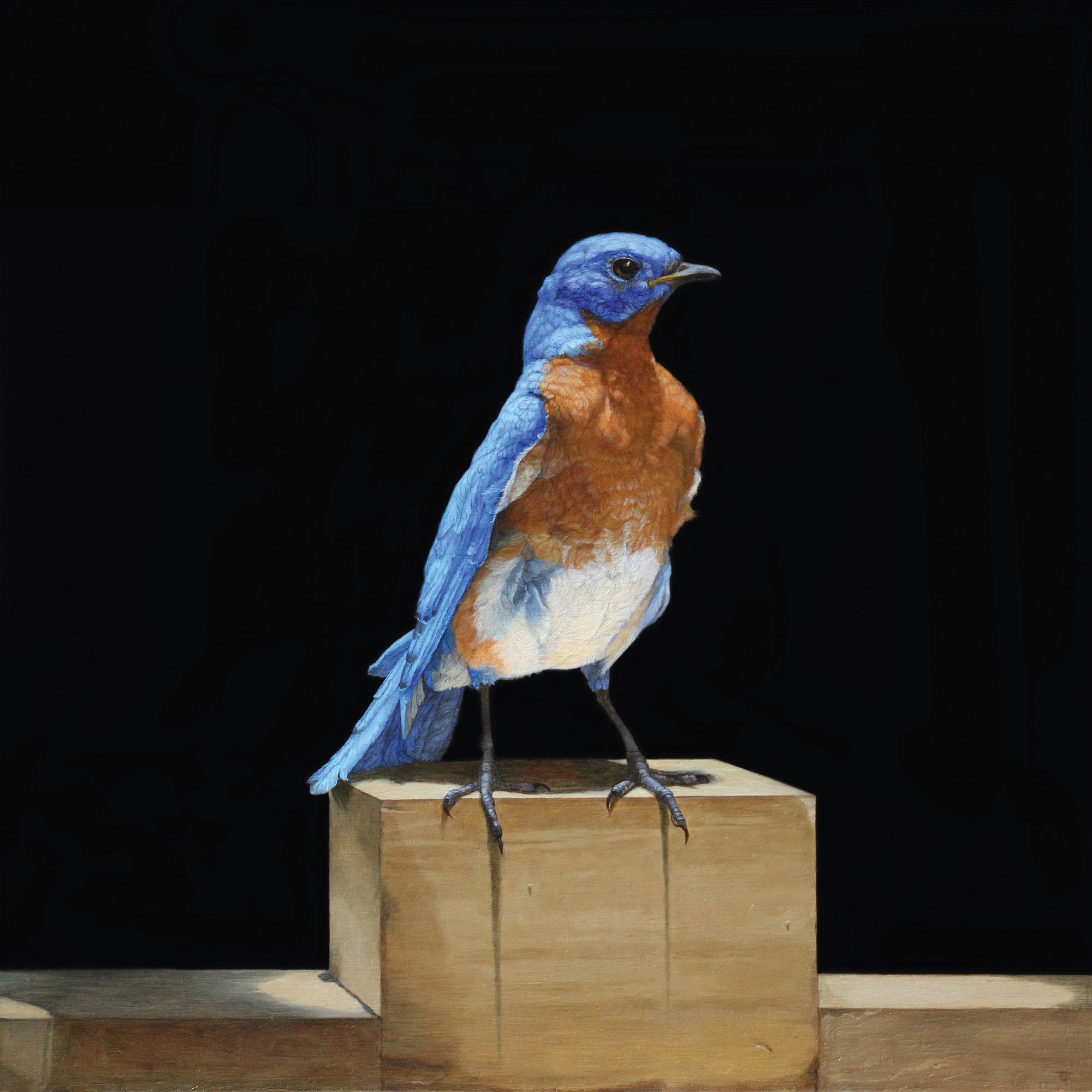 Patricia Traub, EASTERN BLUE BIRD, 2021