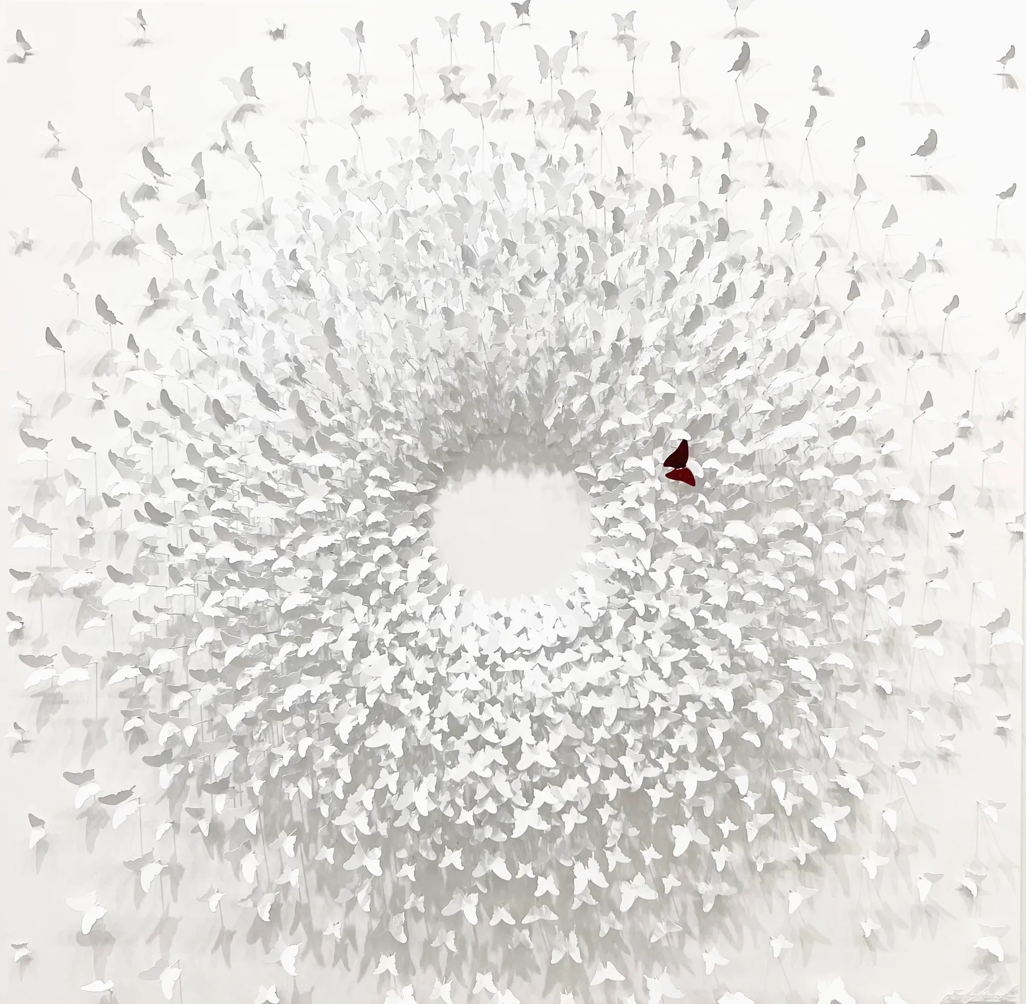 Joel Amit, Here Comes the Sun