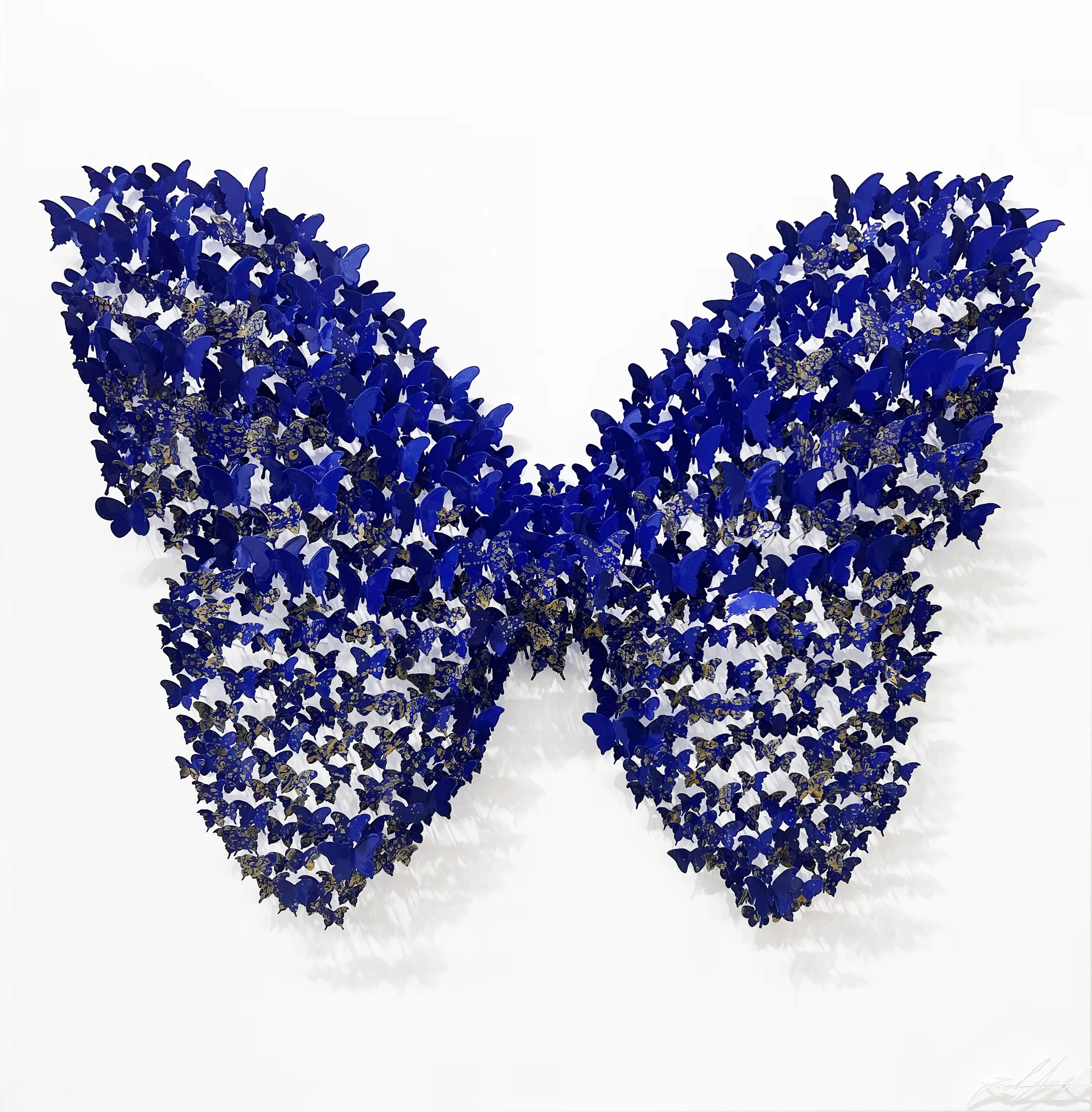 Joel Amit, Circle of Life - Butterfly