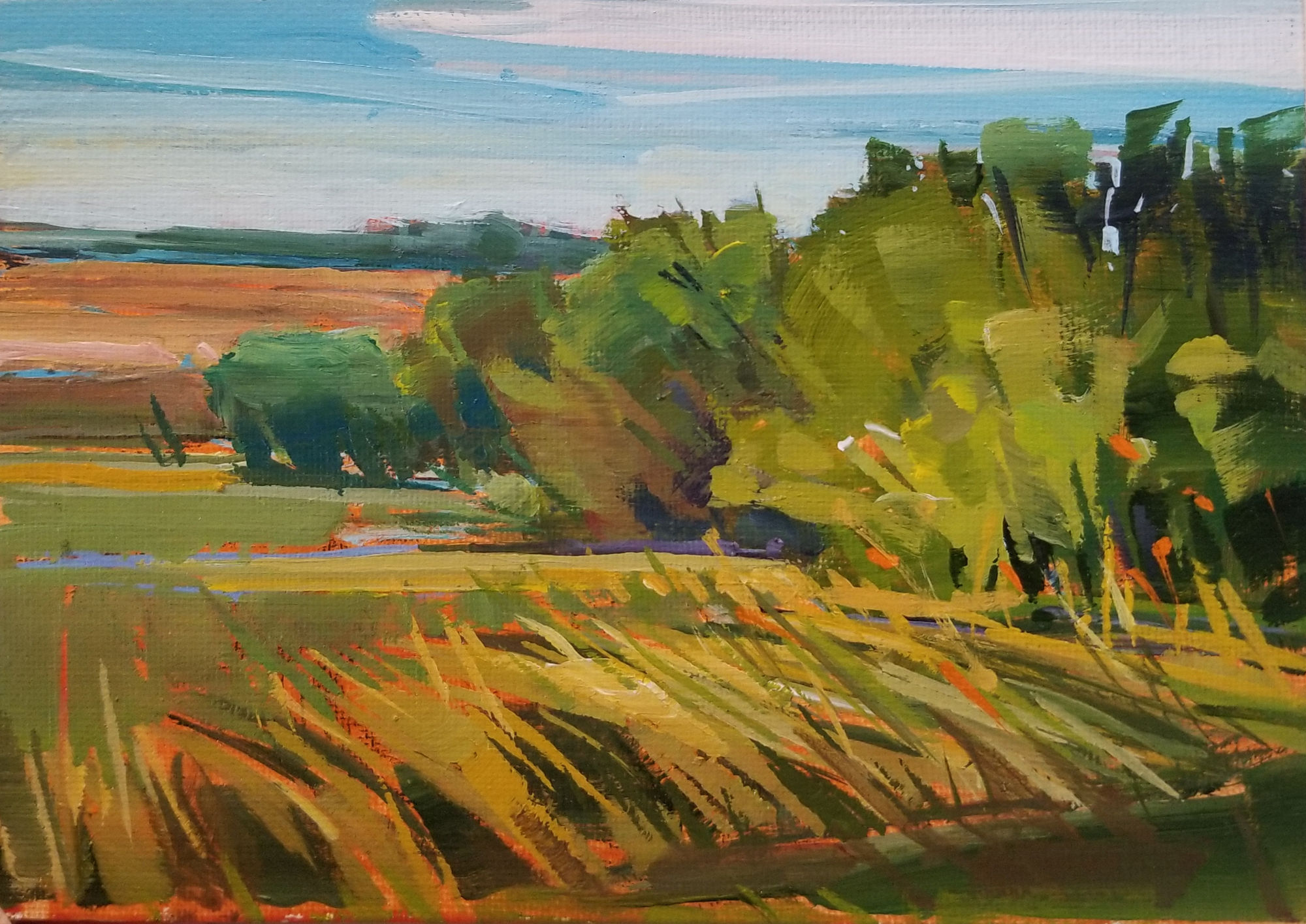 Holly Dyrland, Day 14