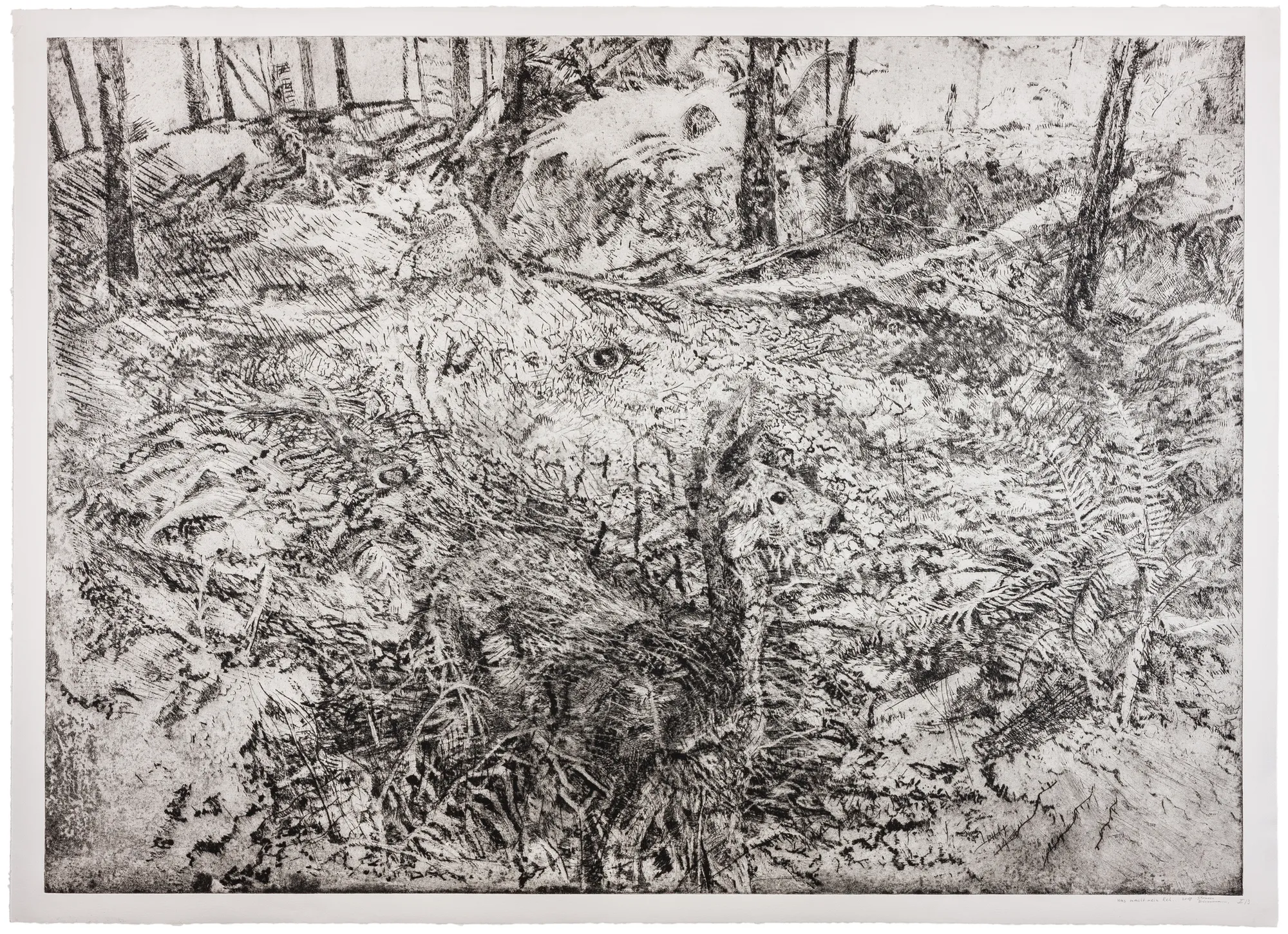 Therese Eisenmann, Was macht mein Reh..., I/3, 2018