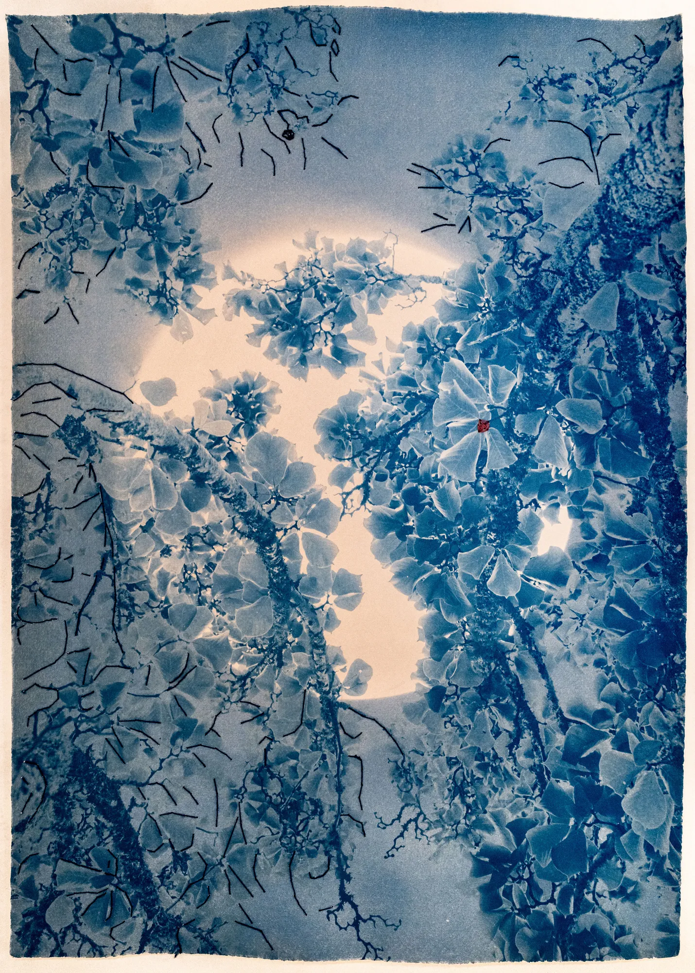 Dora Somosi, Mending Moon