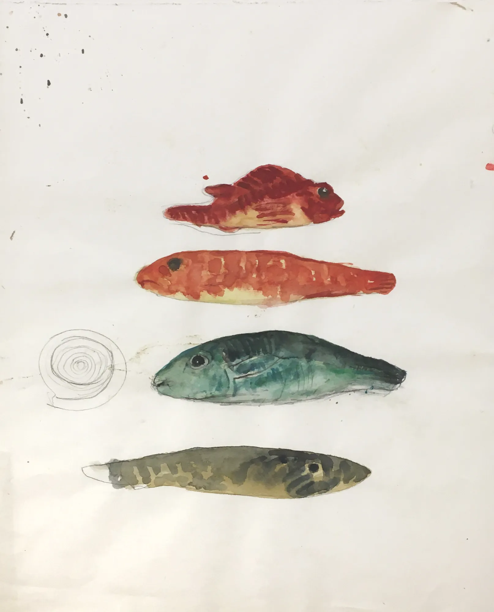 Elizabeth Blackadder, Untitled (Watercolour Study for Four Fish)