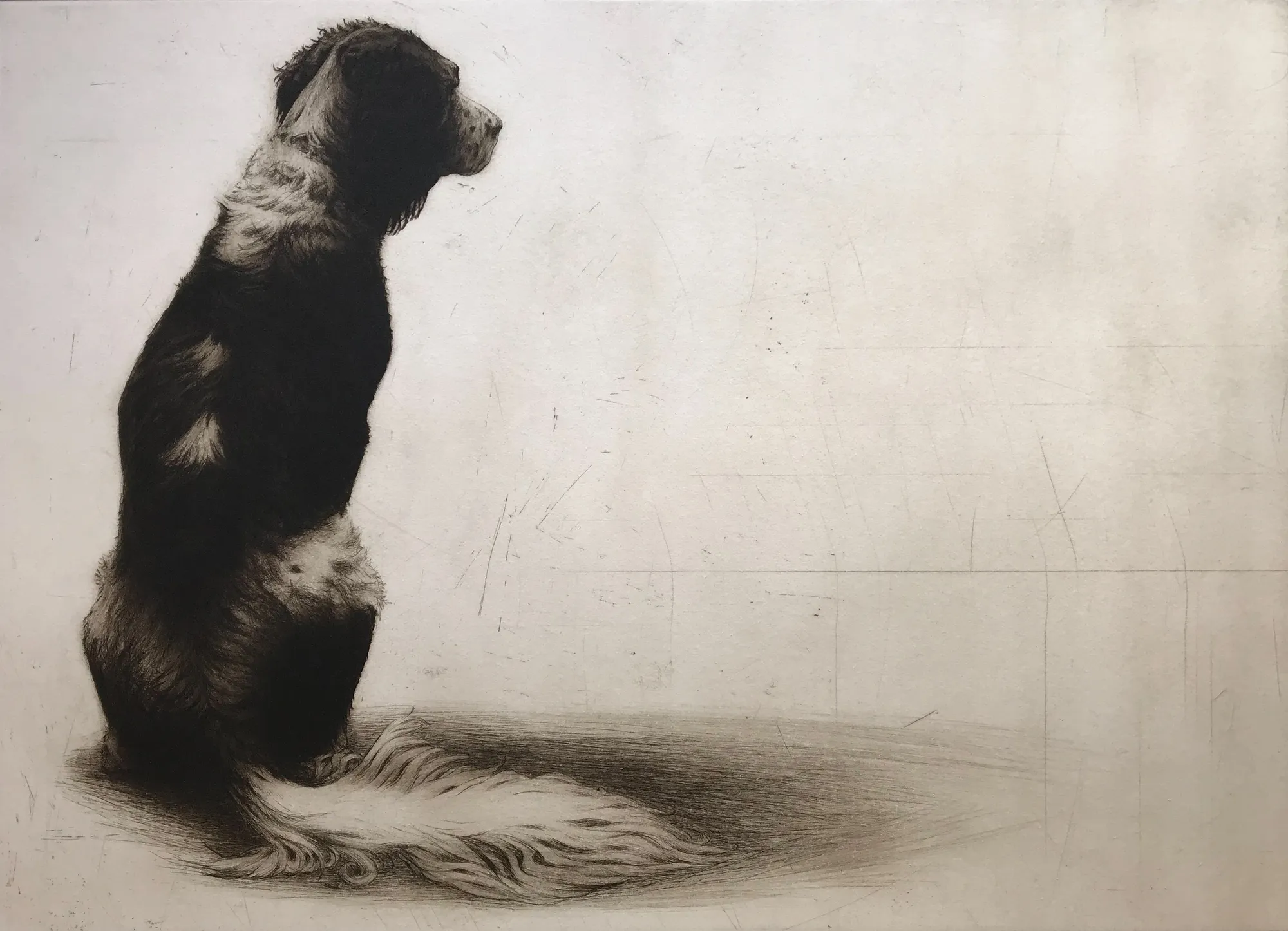 Helen Fay, Phoebe, 2021