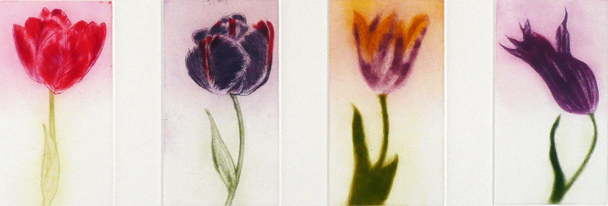 Elizabeth Blackadder, Four Tulips, 2001