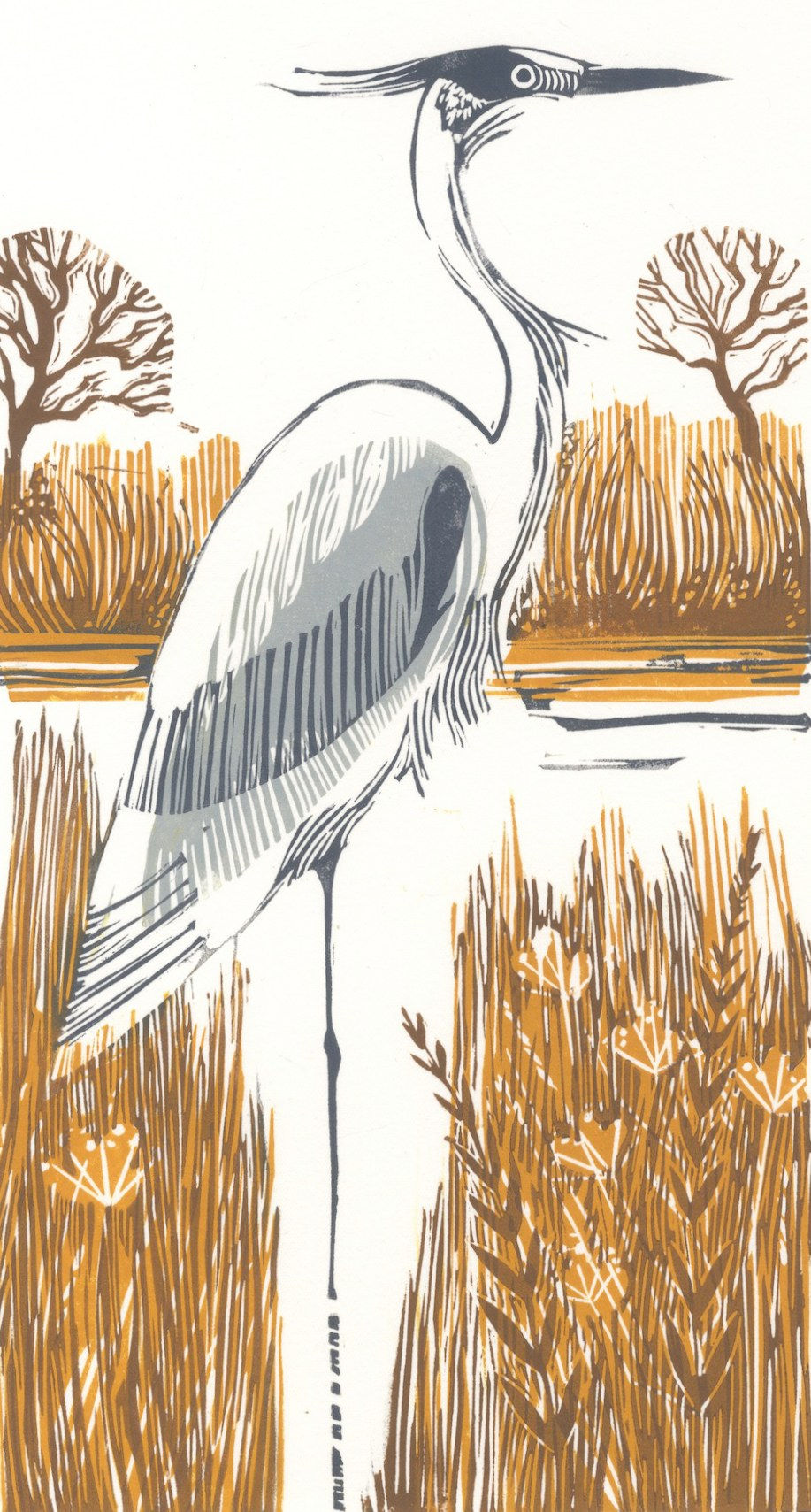 Nadia Lucchesi, Heron, 2020