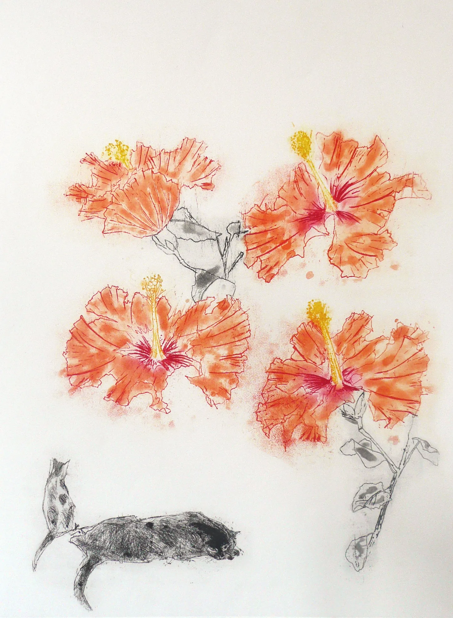 Elizabeth Blackadder, Hibiscus & Cats, 1985