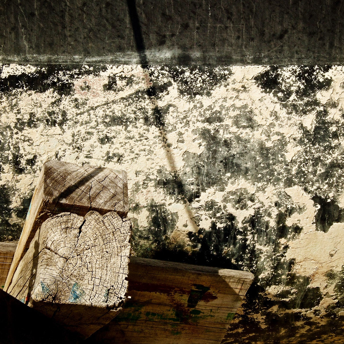 Paul Boyle, Hullscape 24