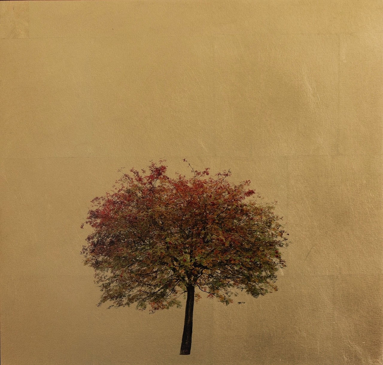 Robert Pereira Hind, Autumn Sorbus