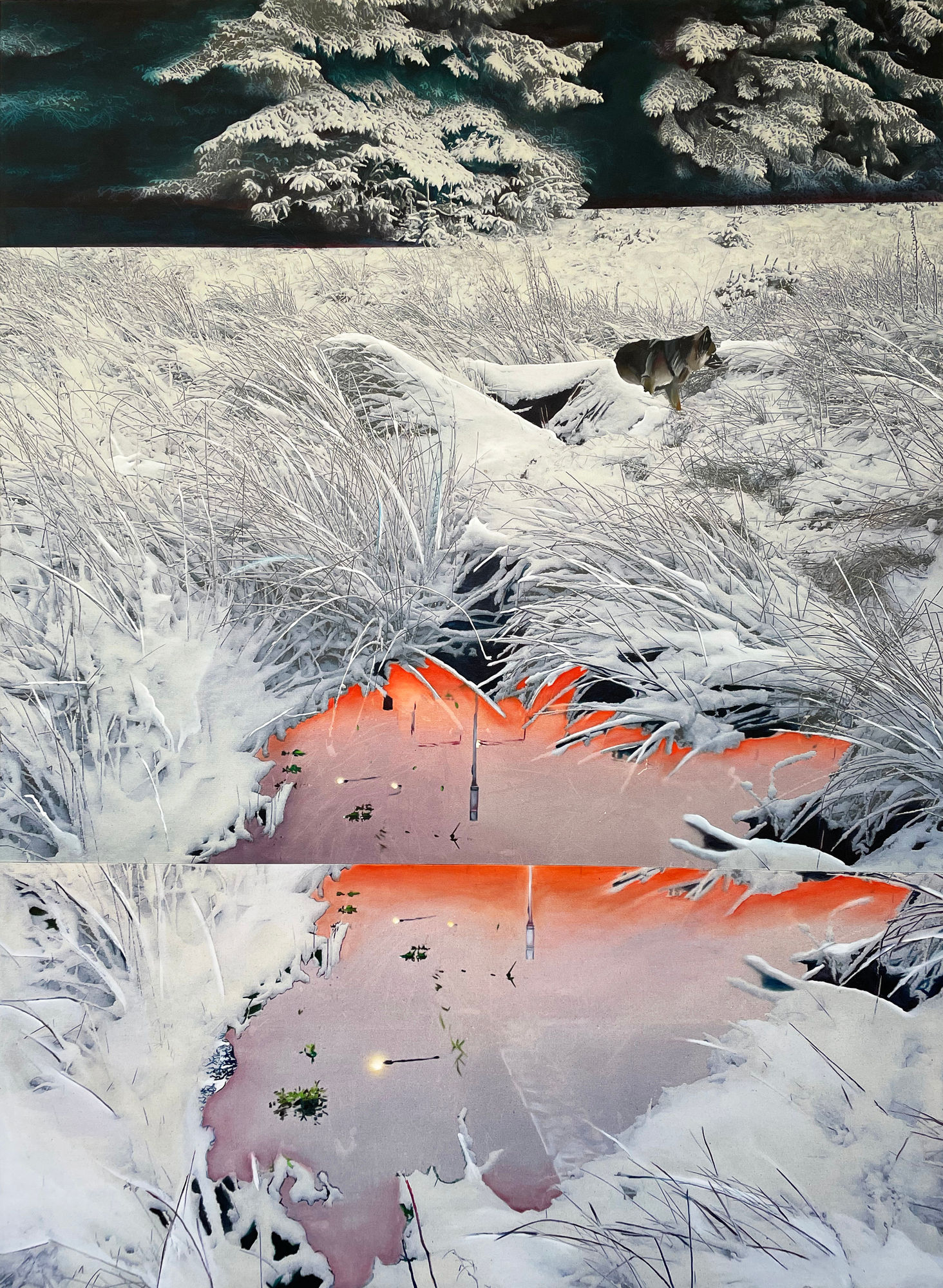 Ruby Lord, Lennox Dog