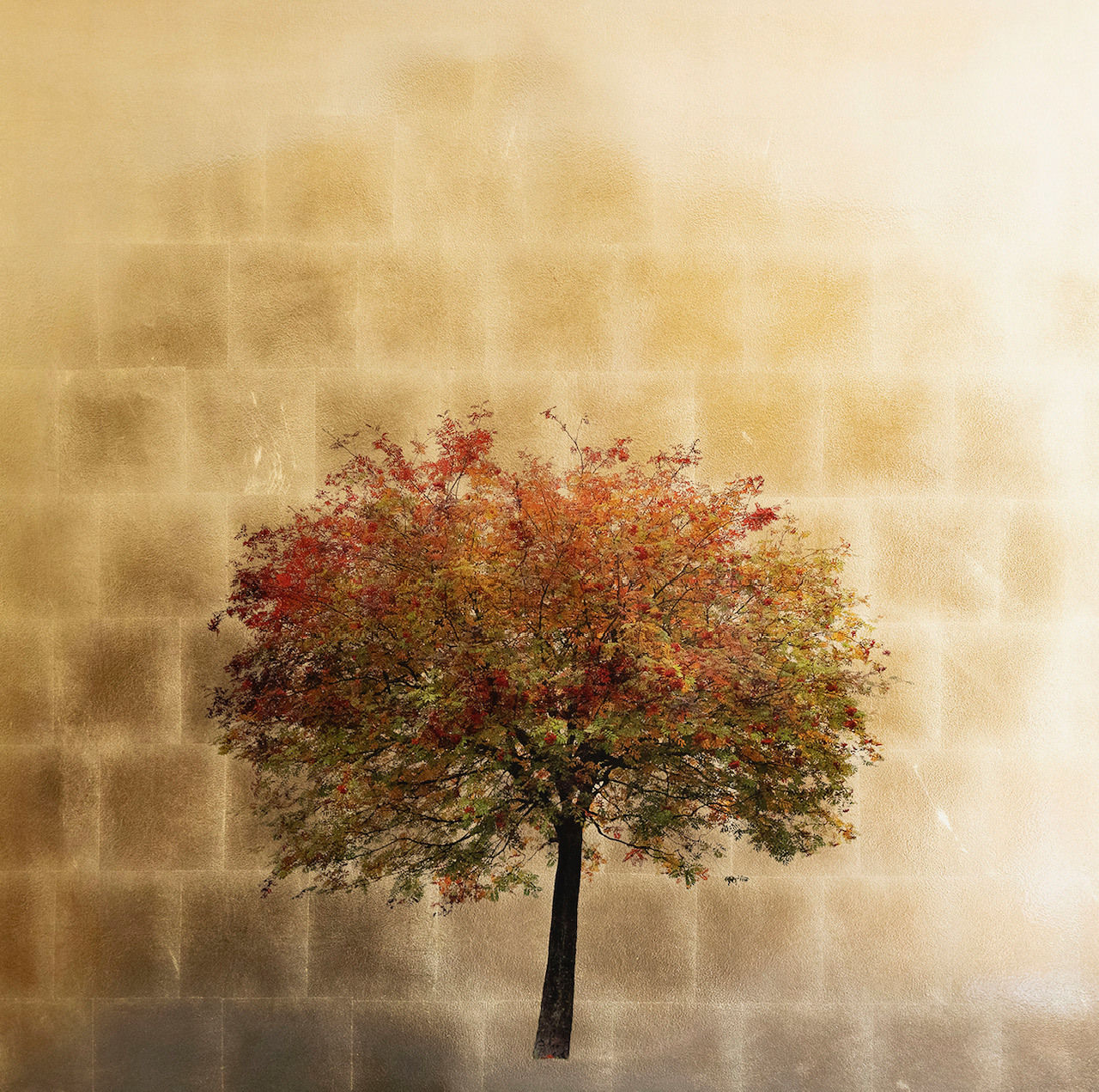 Robert Pereira Hind, Autumn Sorbus