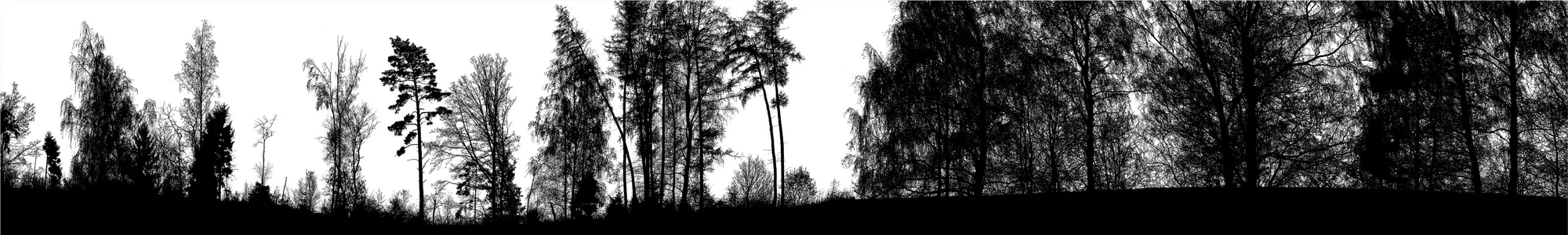 Blaise Adilon, The Road, 2013-2017