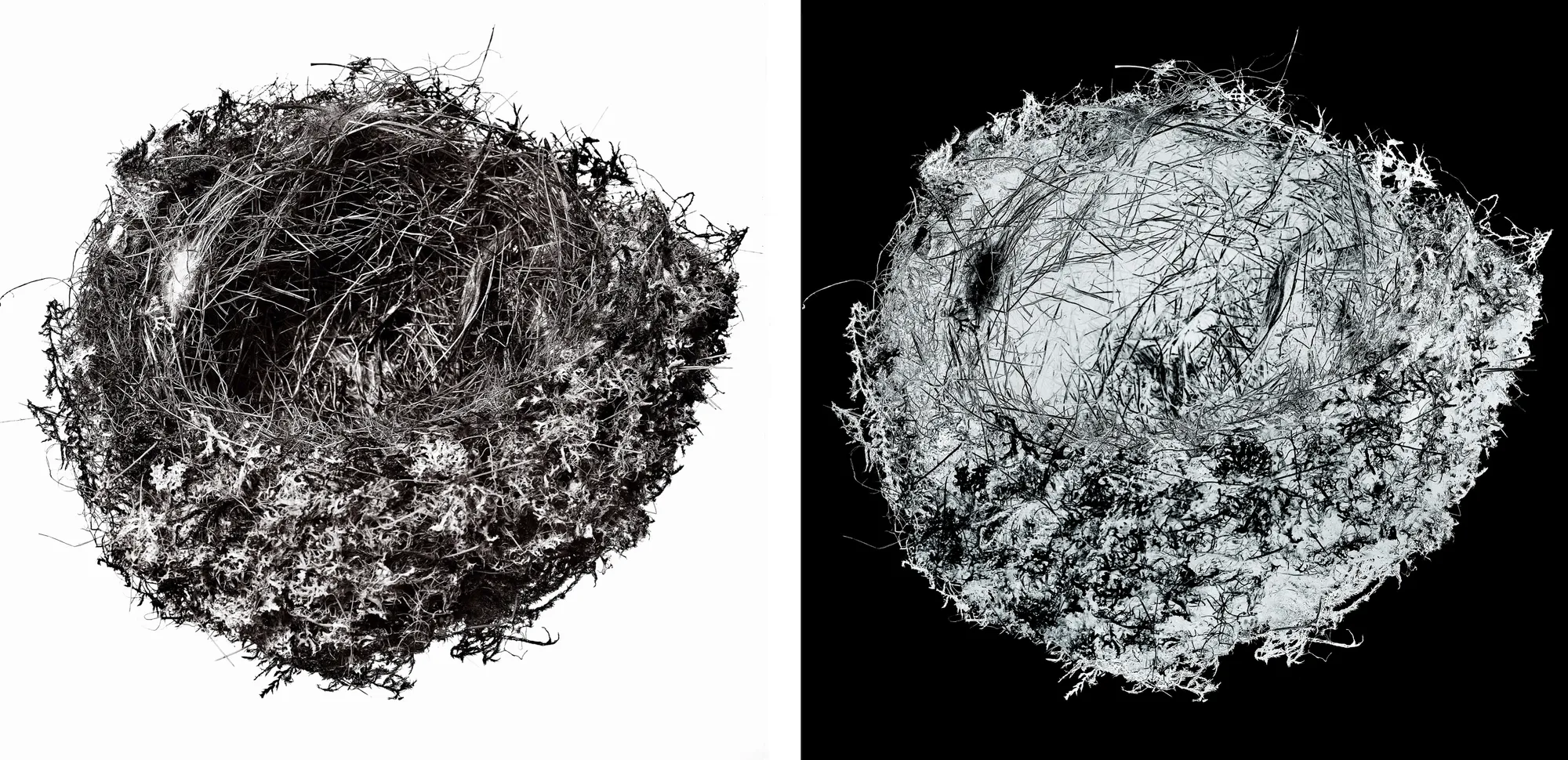 Blaise Adilon, Impermanence #1 - N°5, 2017