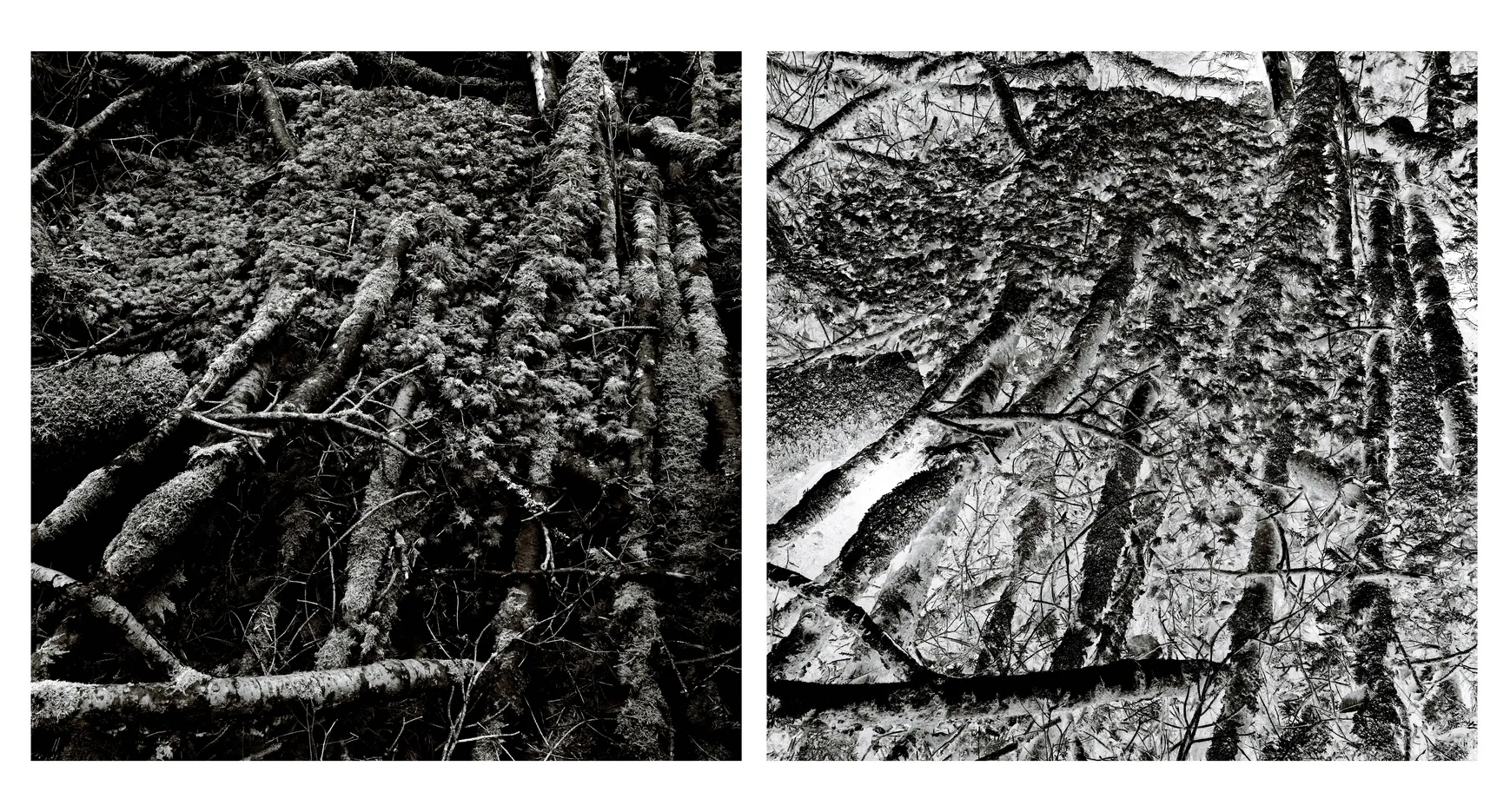 Blaise Adilon, Impermanence #2 n°6, 2020