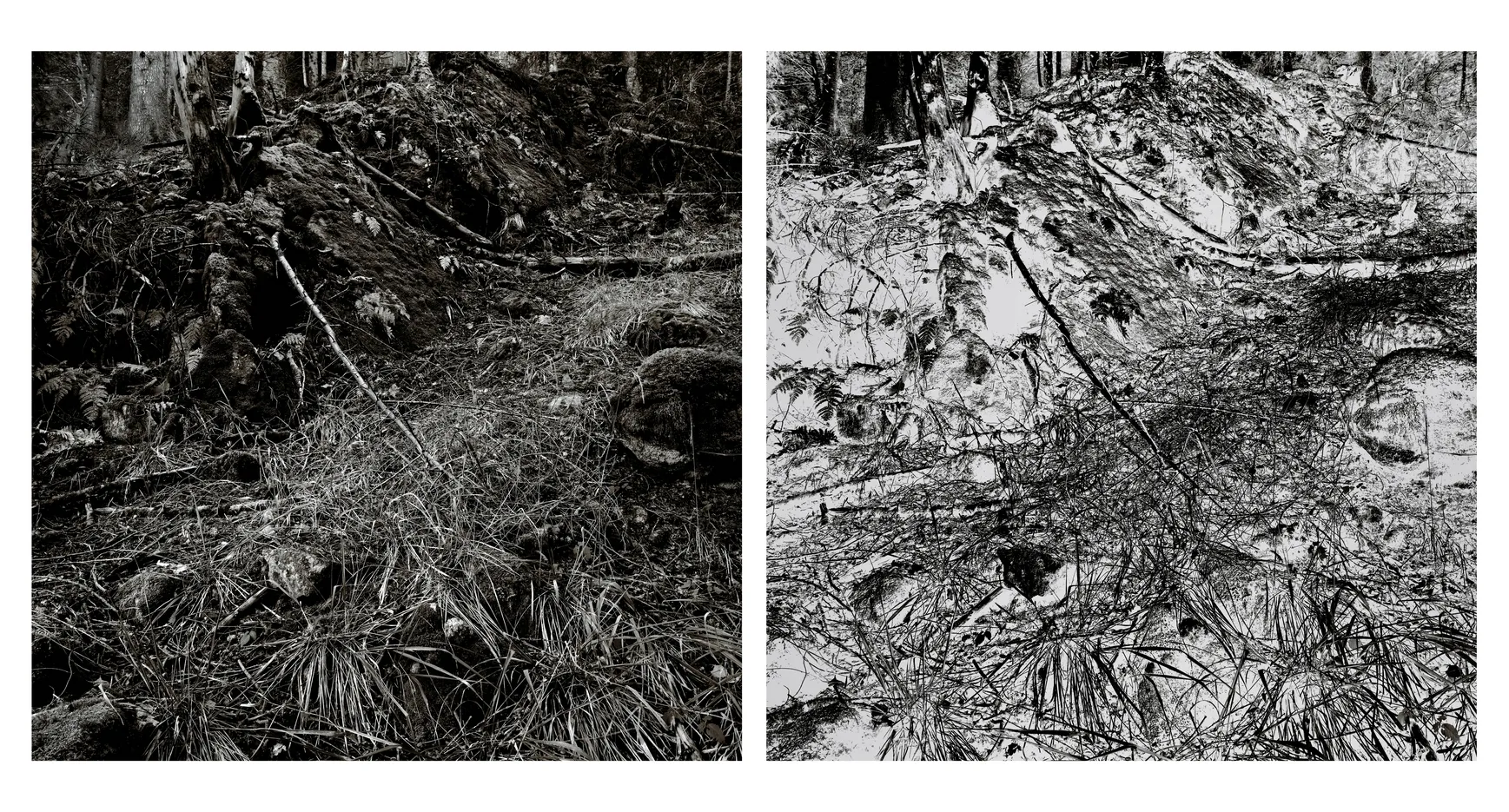 Blaise Adilon, Impermanence #2 n° 1, 2021