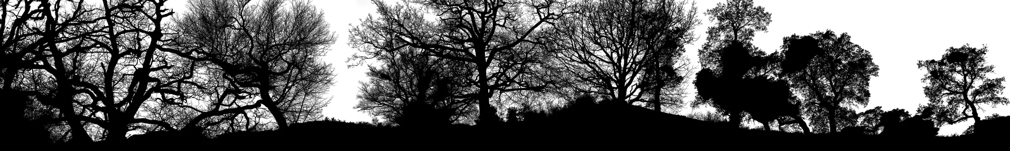 Blaise Adilon, The Road, 2013-2017