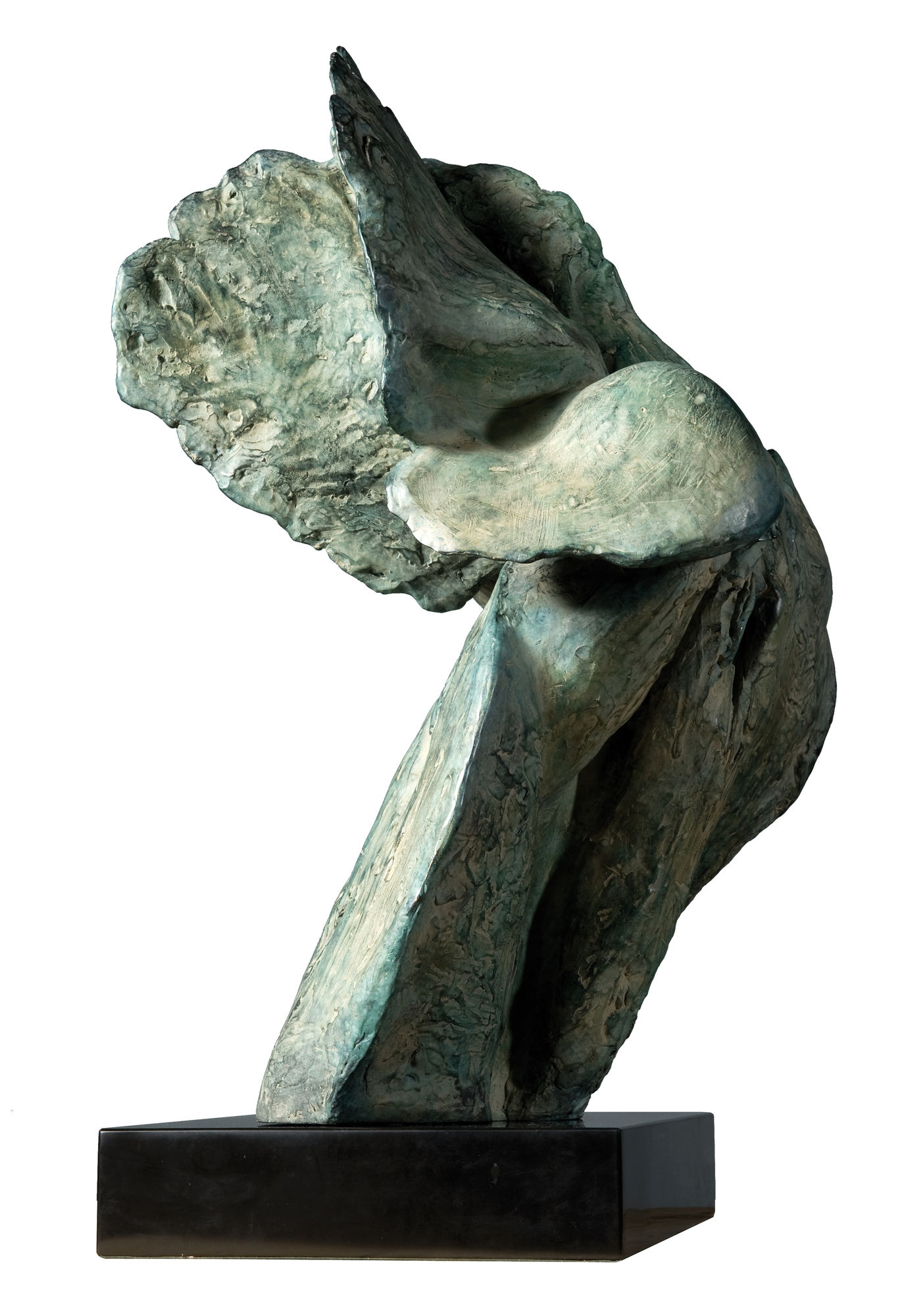 Helaine Blumenfeld, Explosion, 2010