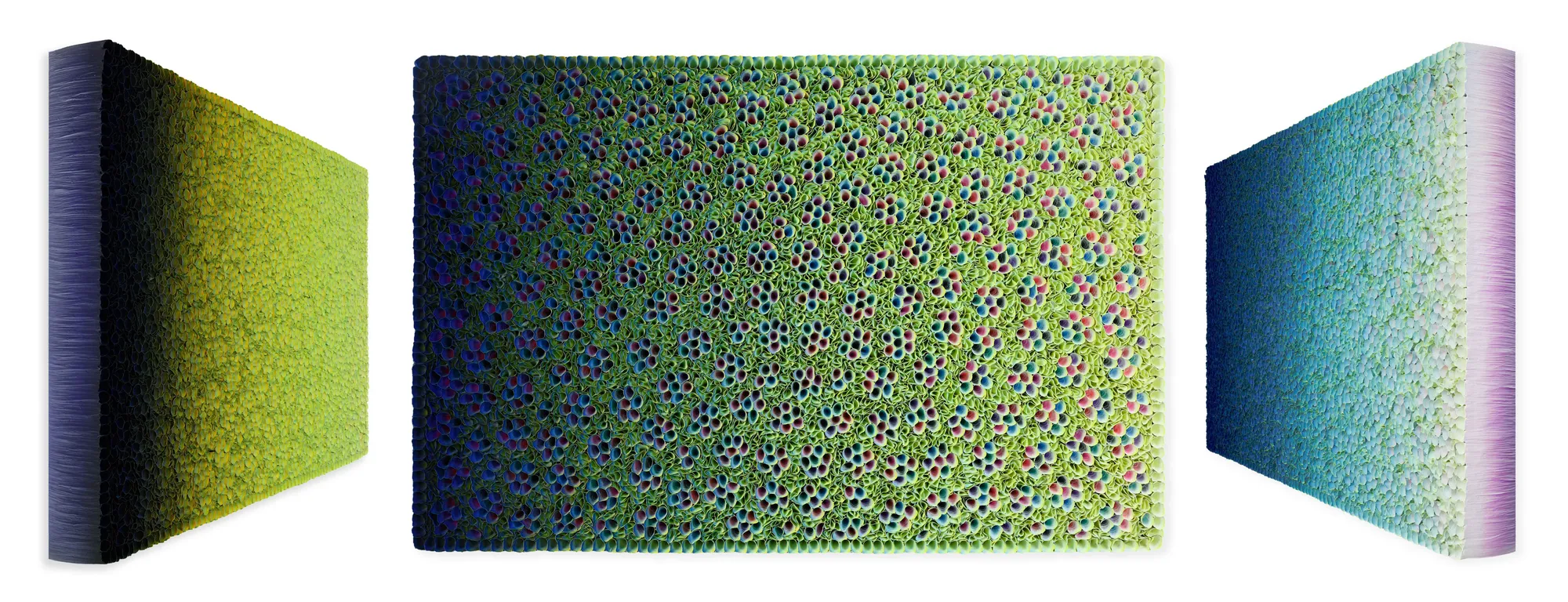 Zhuang Hong Yi, Bloomwaves , 2023