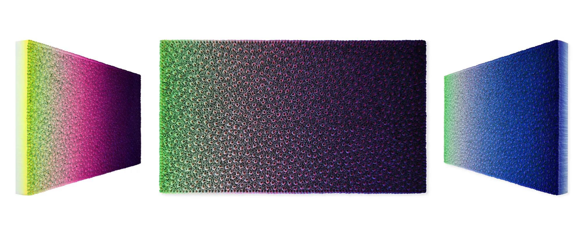 Zhuang Hong Yi, Verdant Illumination, 2023