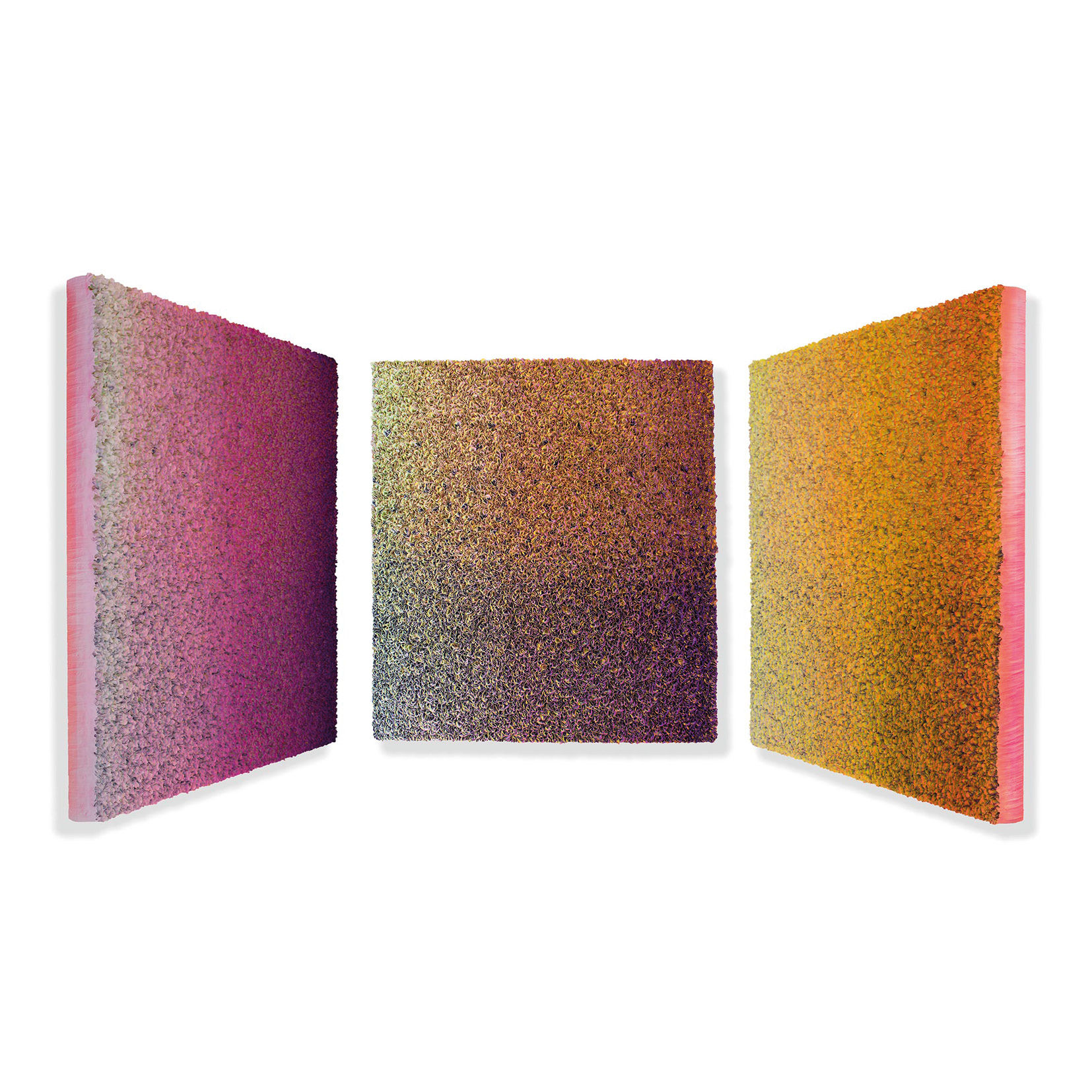 Zhuang Hong Yi, Amber , 2019