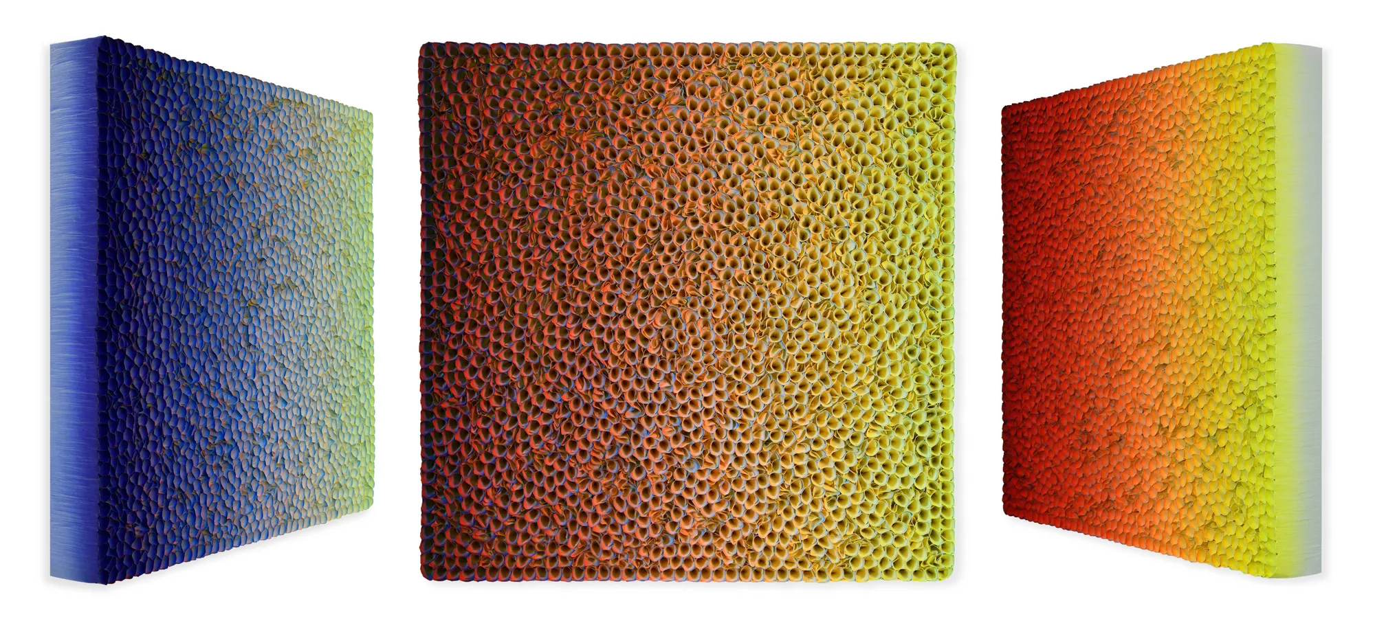 Zhuang Hong Yi, Luna Flora, 2023