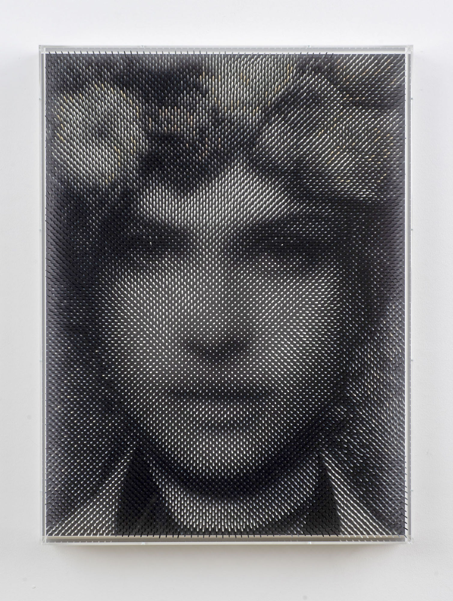 Maxim Wakultschik, Arcadia