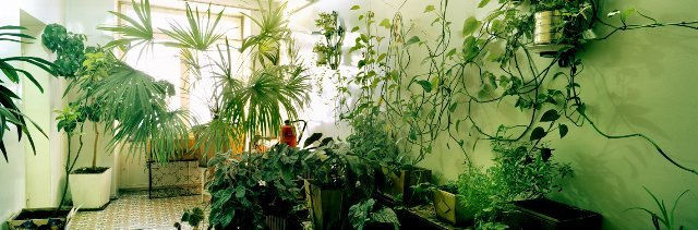 Christian Houge, Therapy room, 2006