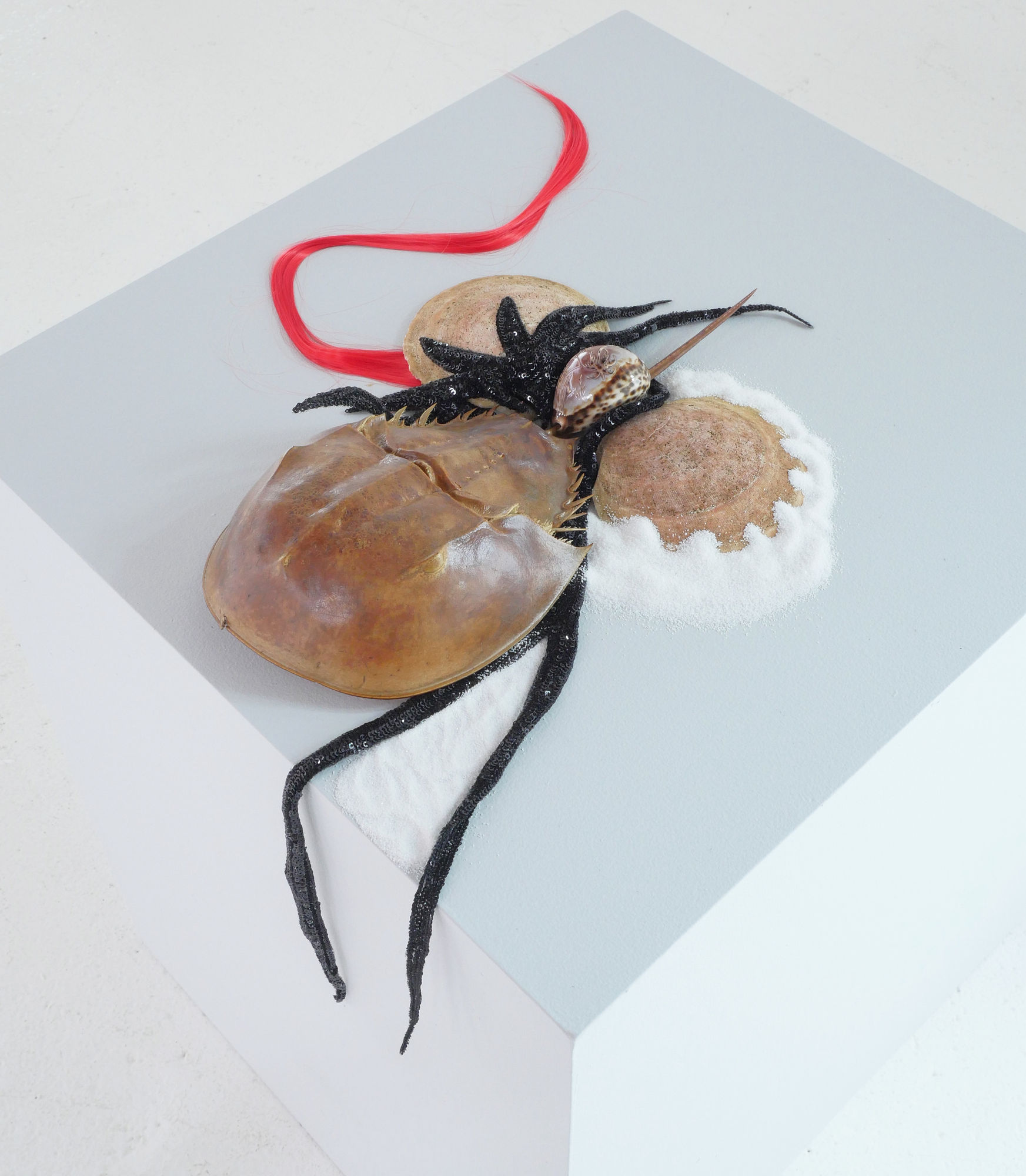 Rina Banerjee, Life after death, freed, in a shell that remains, dismantled and repurposed, diligently loose and now mobile when unearthed evokes new skin where once like hermit and Houdini combined living is entangled now awake slip out to free, see, feel speak., 2024