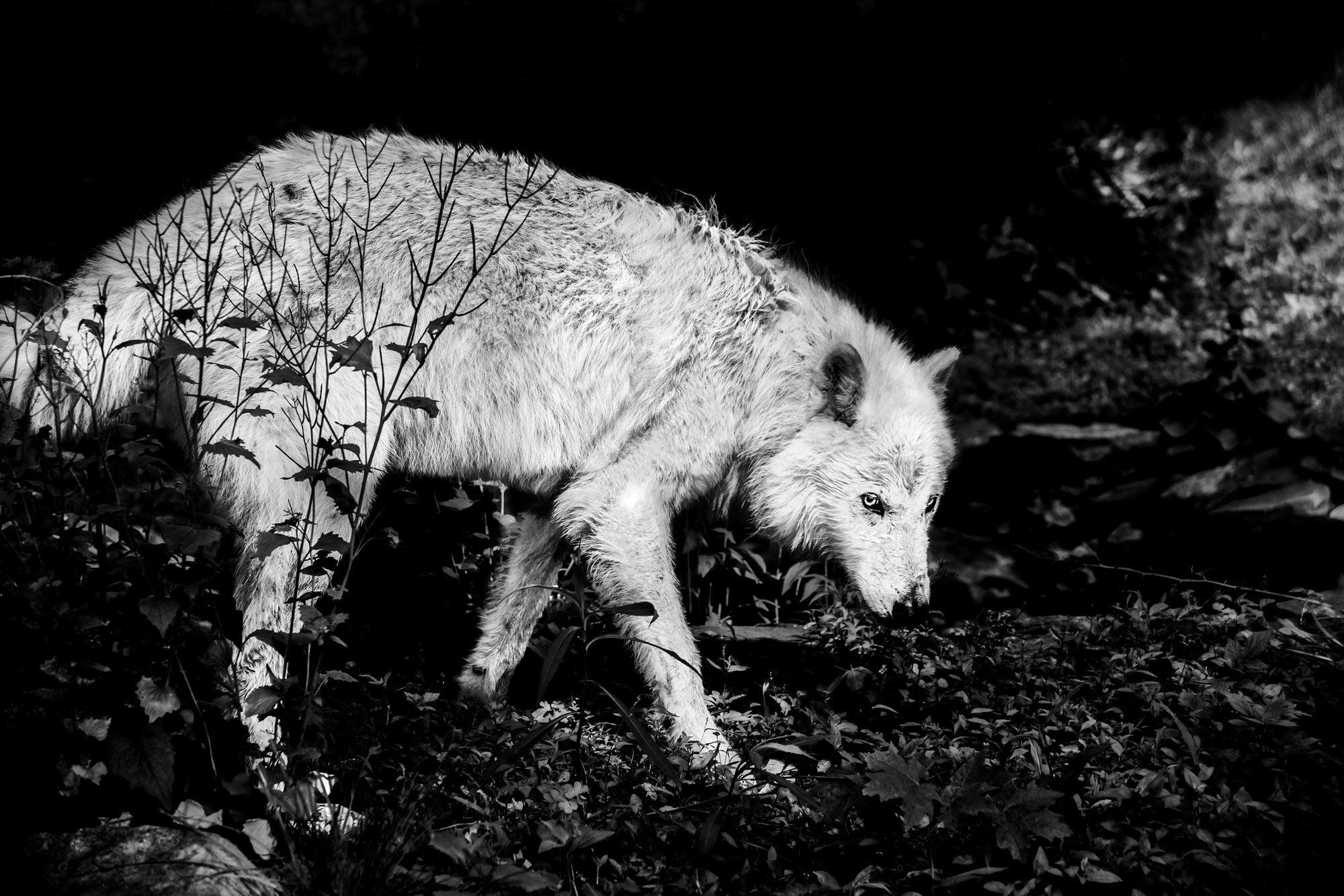 Christian Houge, Untitled 22, USA, 2012