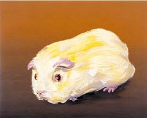 Cornelius Völker, Meerschweinchen #81, 2003