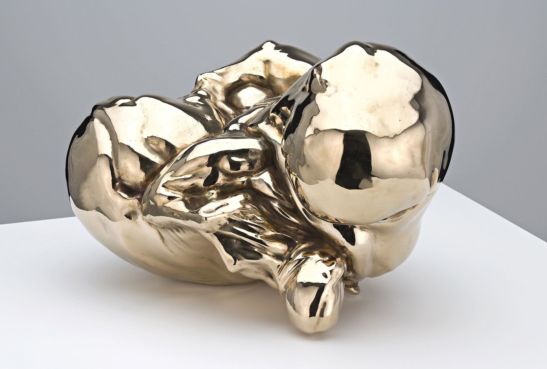 Patricia Piccinini, A Deeply Held Breath, 2009