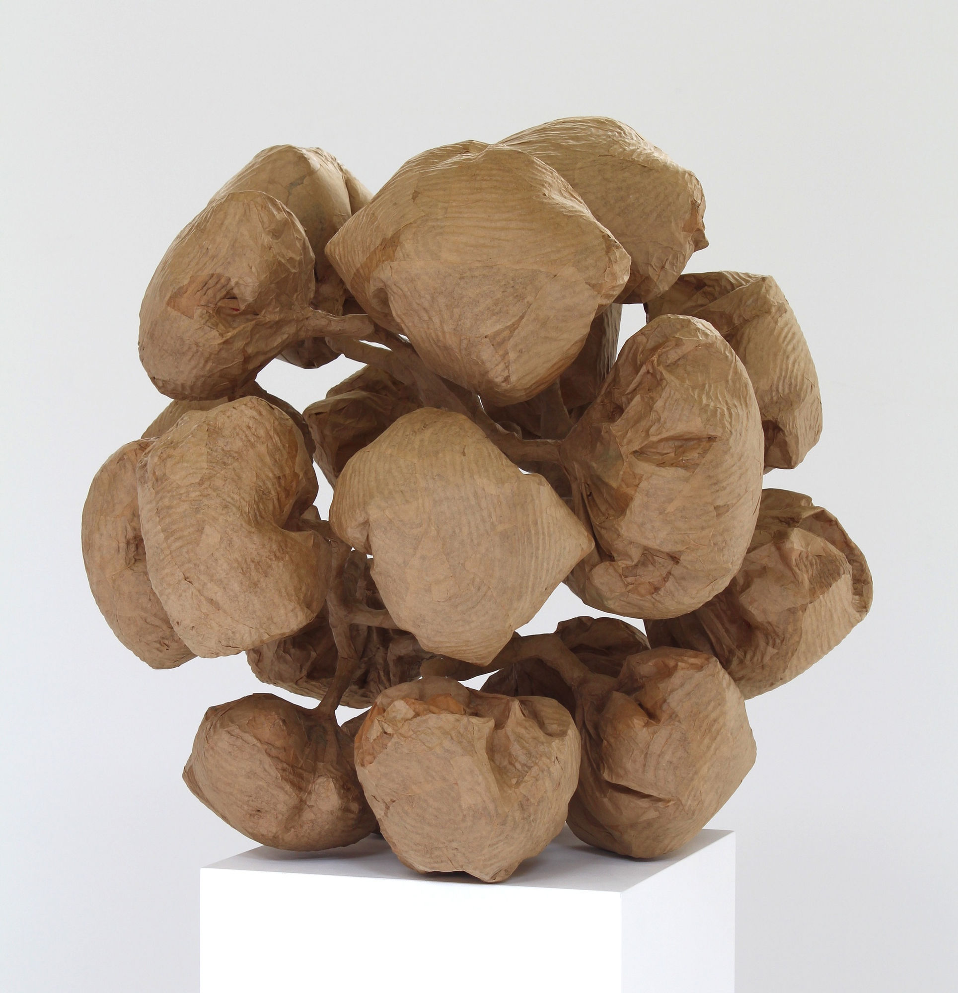 Tim Hawkinson, Untitled (pinecone), 2012