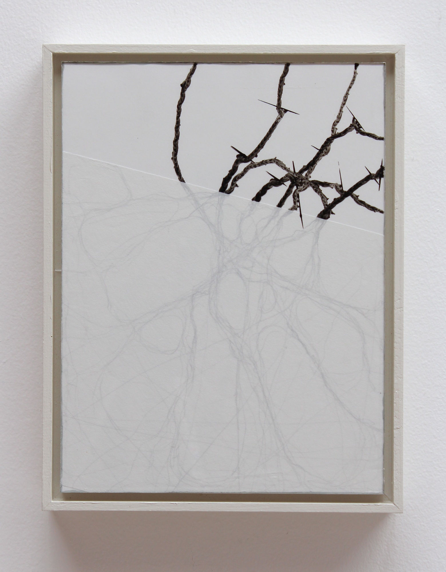 Emil Lukas, garden #1397, 2014