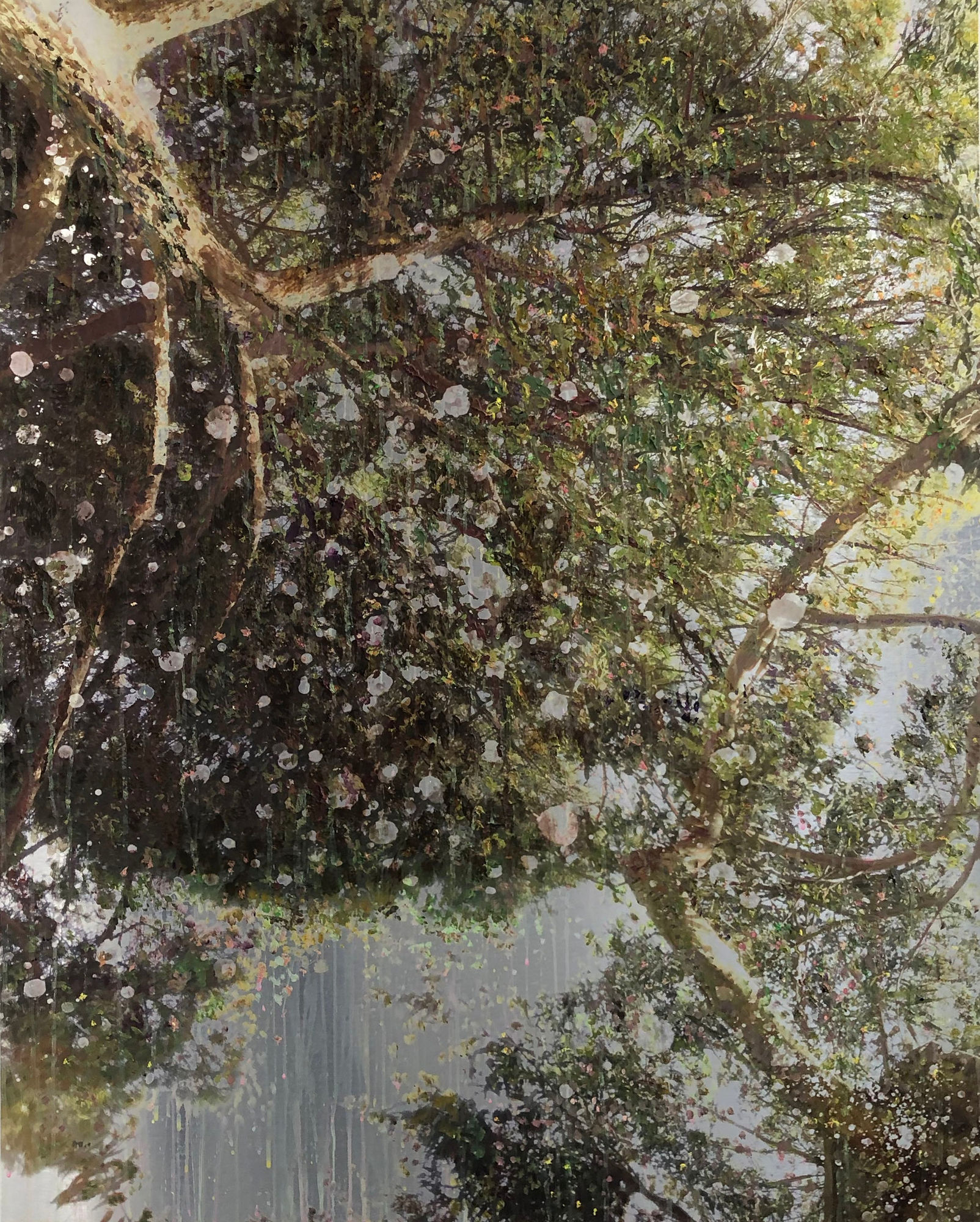 Wim Ricourt, Look Upwards, 2020